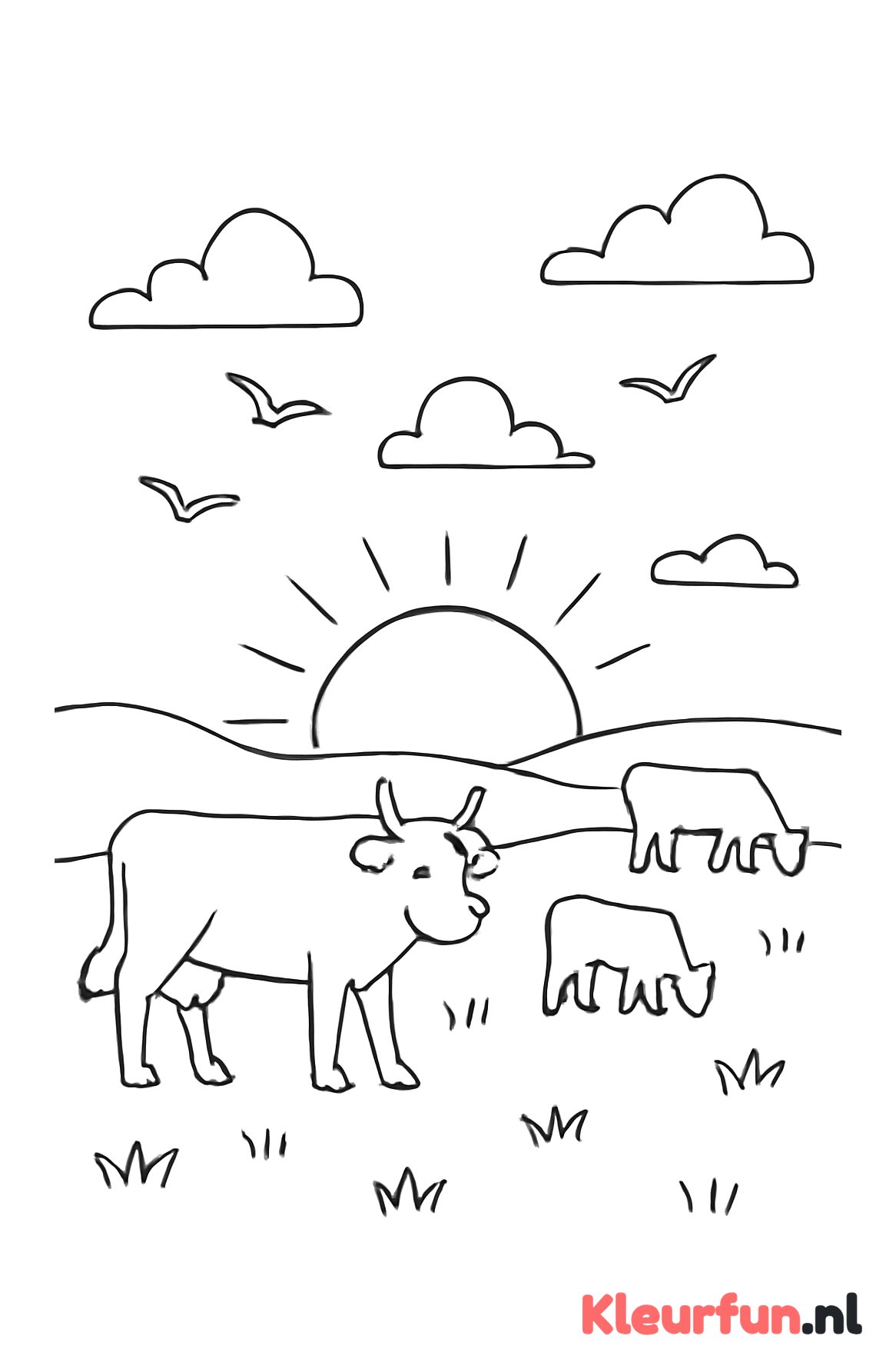 Zonsondergang met dieren in het weiland