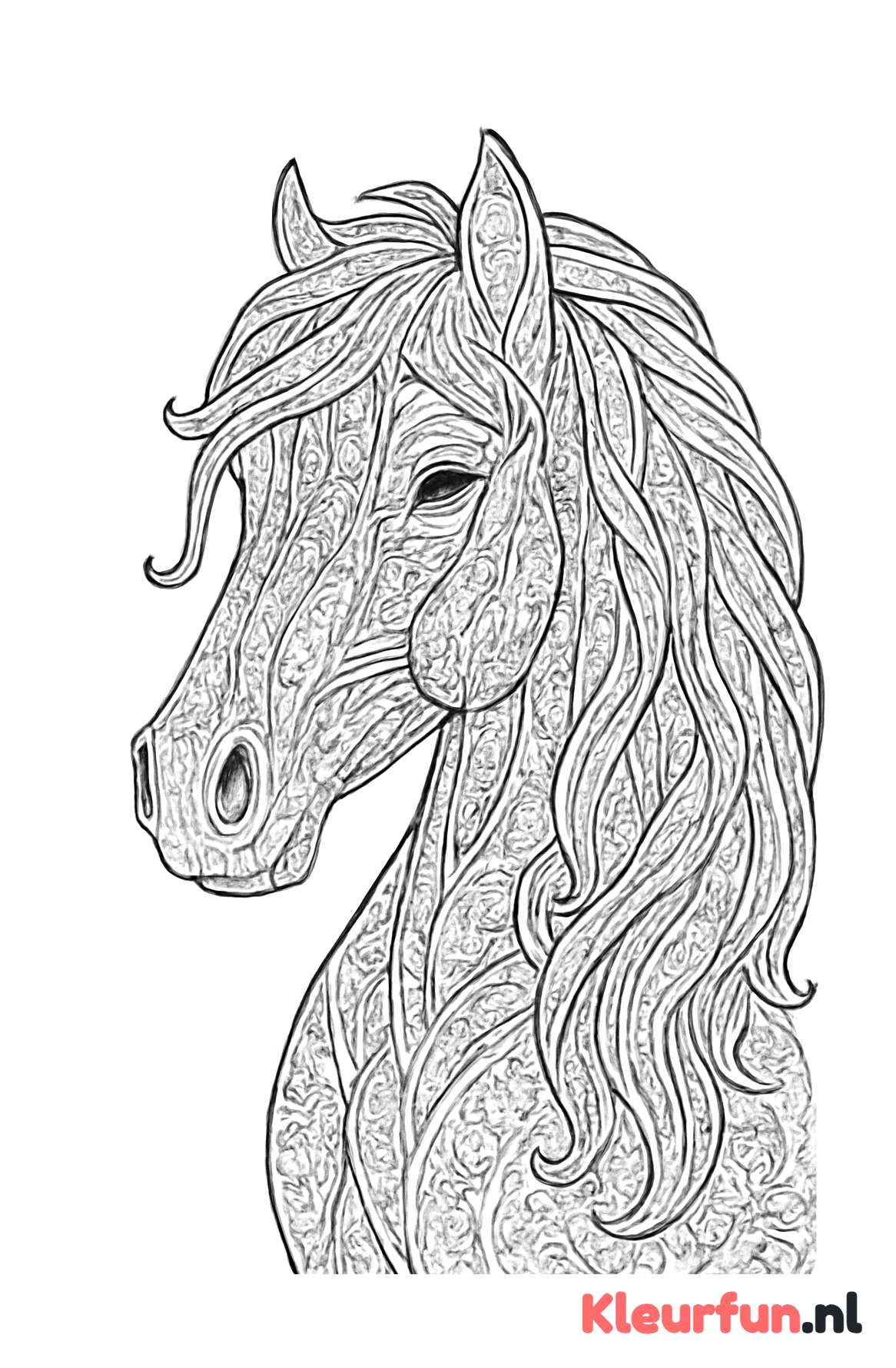Close-up paard portret