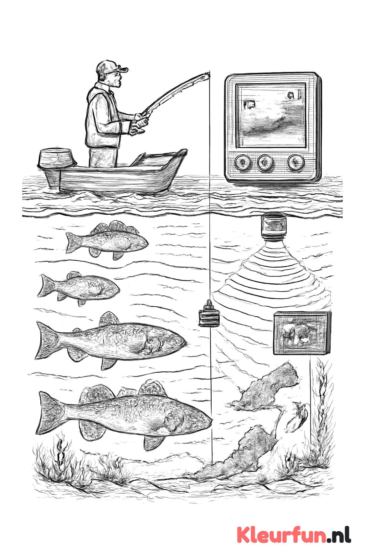 Digitale visserij met sonarbeelden