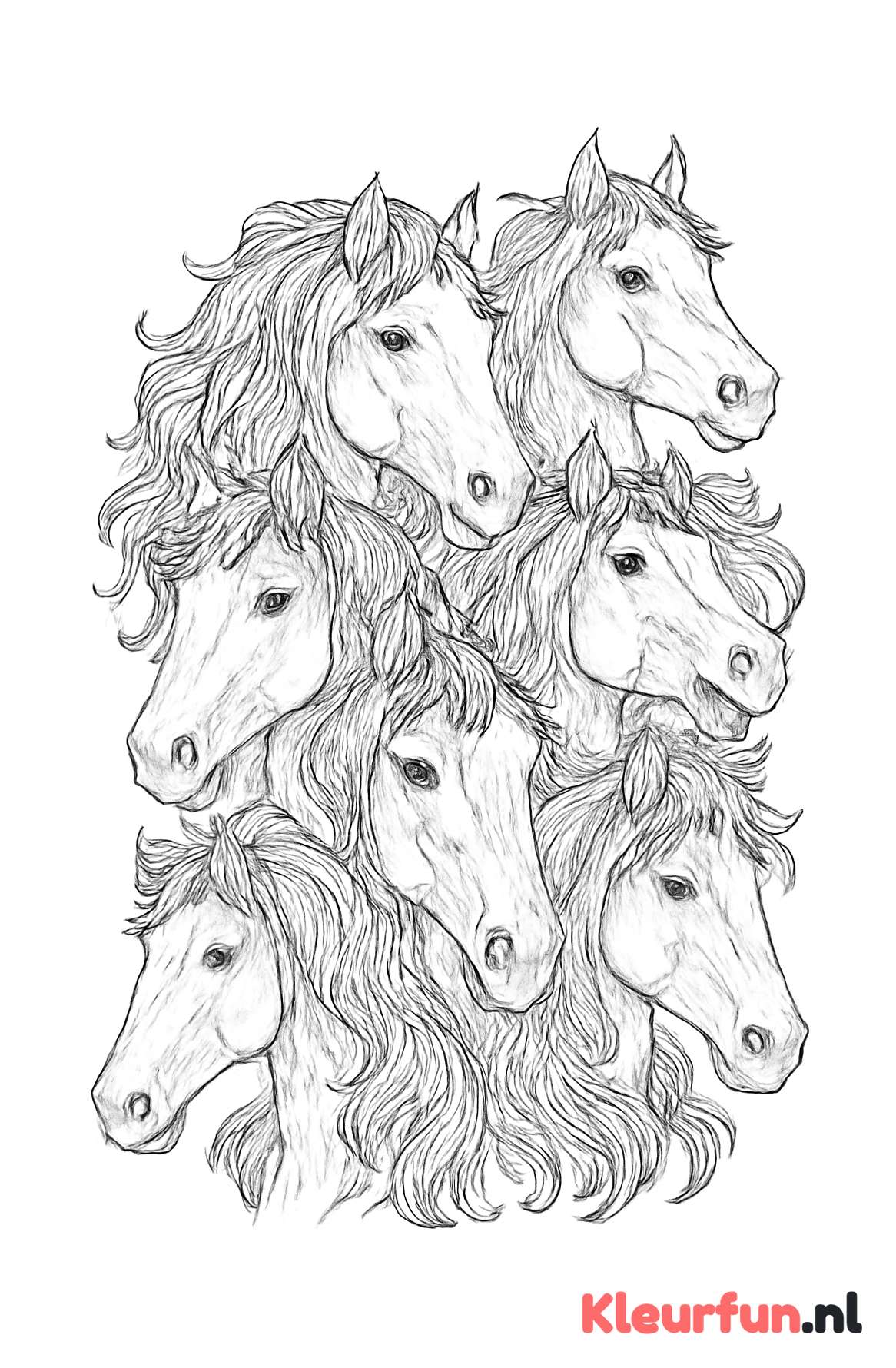 Diverse paardenhoofden in detail