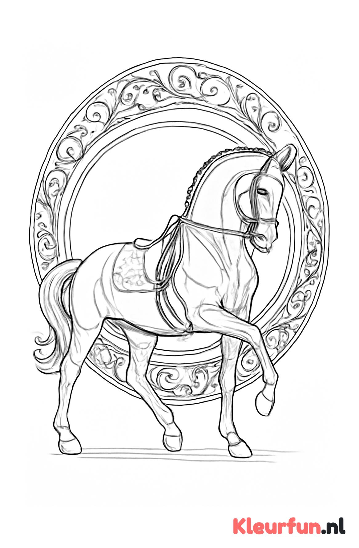 Dressuurpaard Elegantie