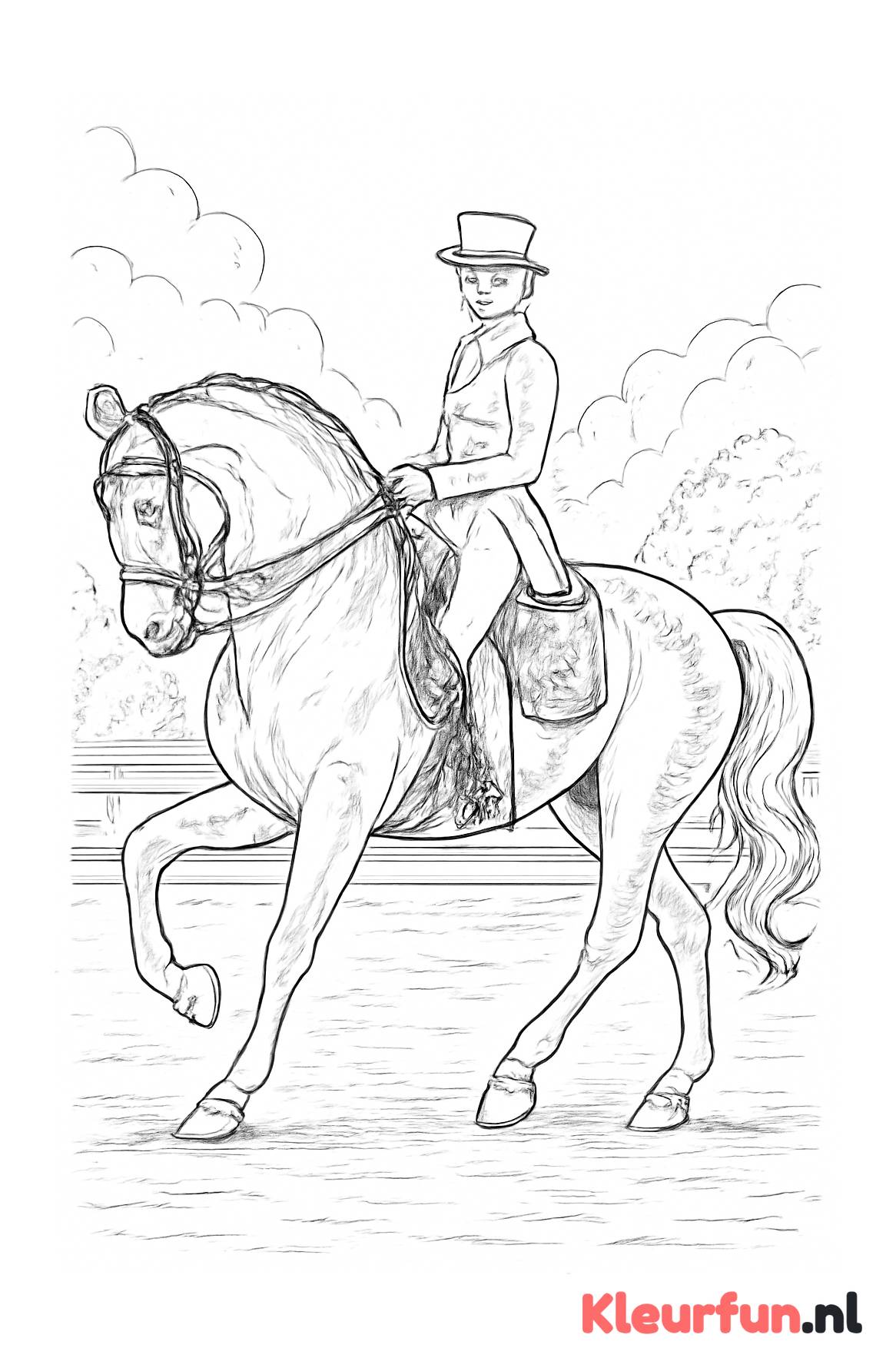 Dressuurruiter met paard in elegante pose