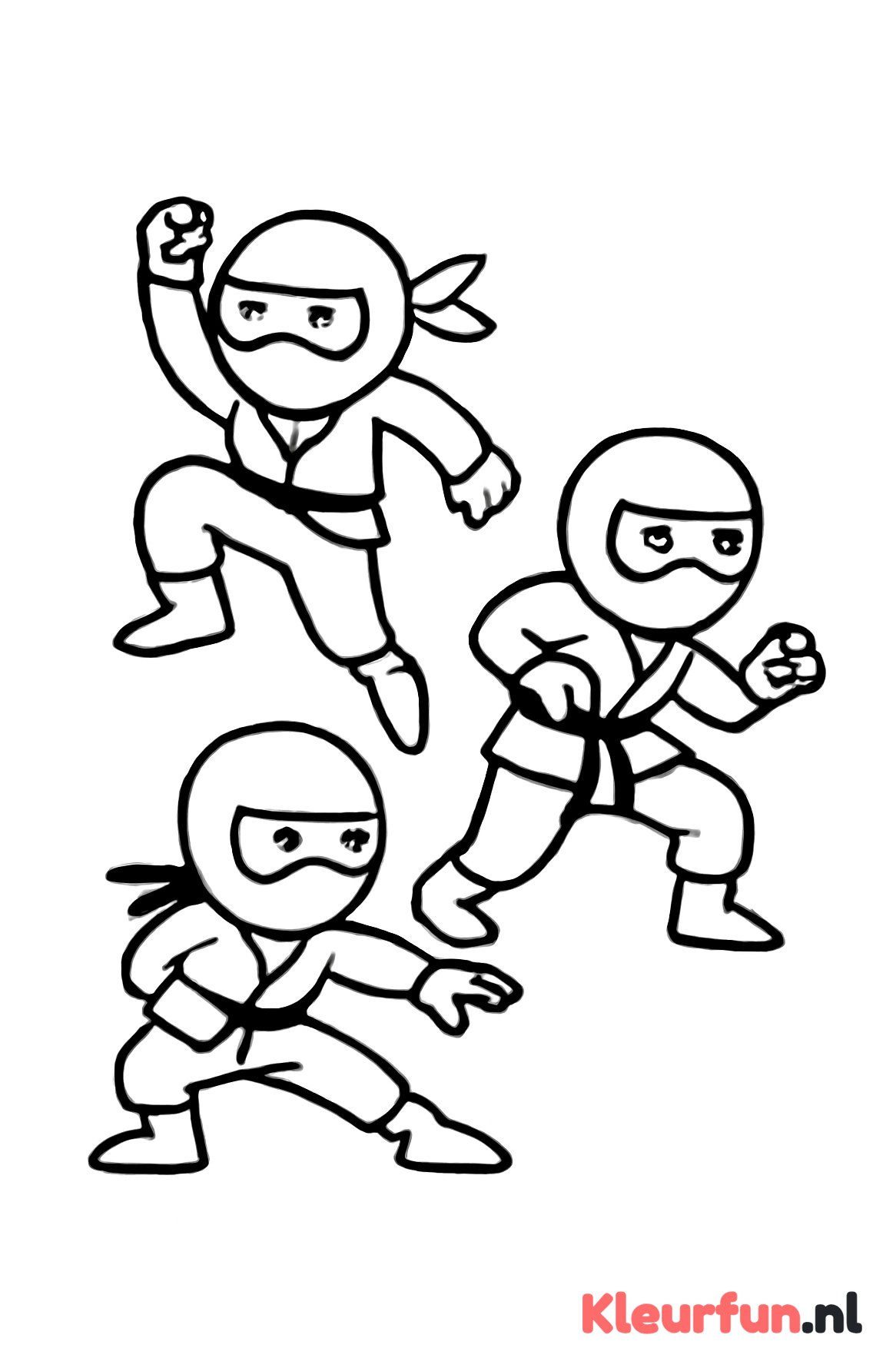Drie Ninja Acties