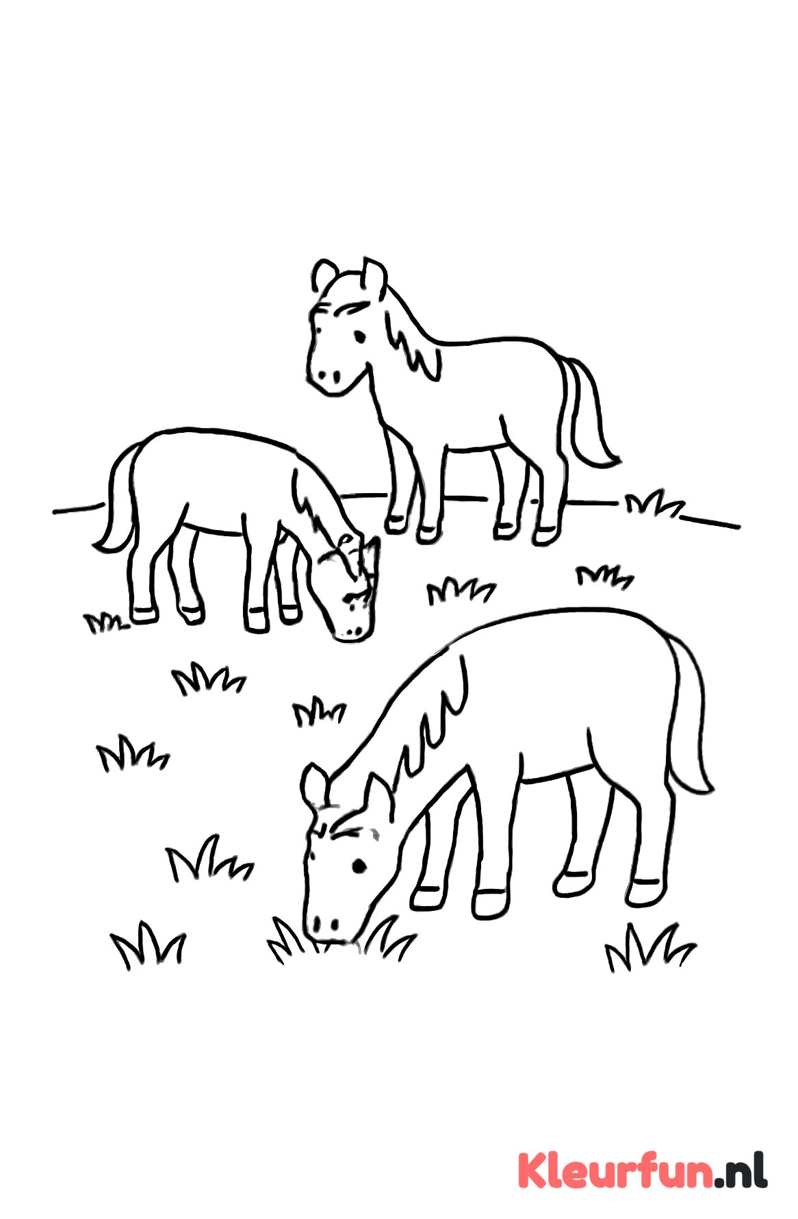 Drie Paarden Grazend