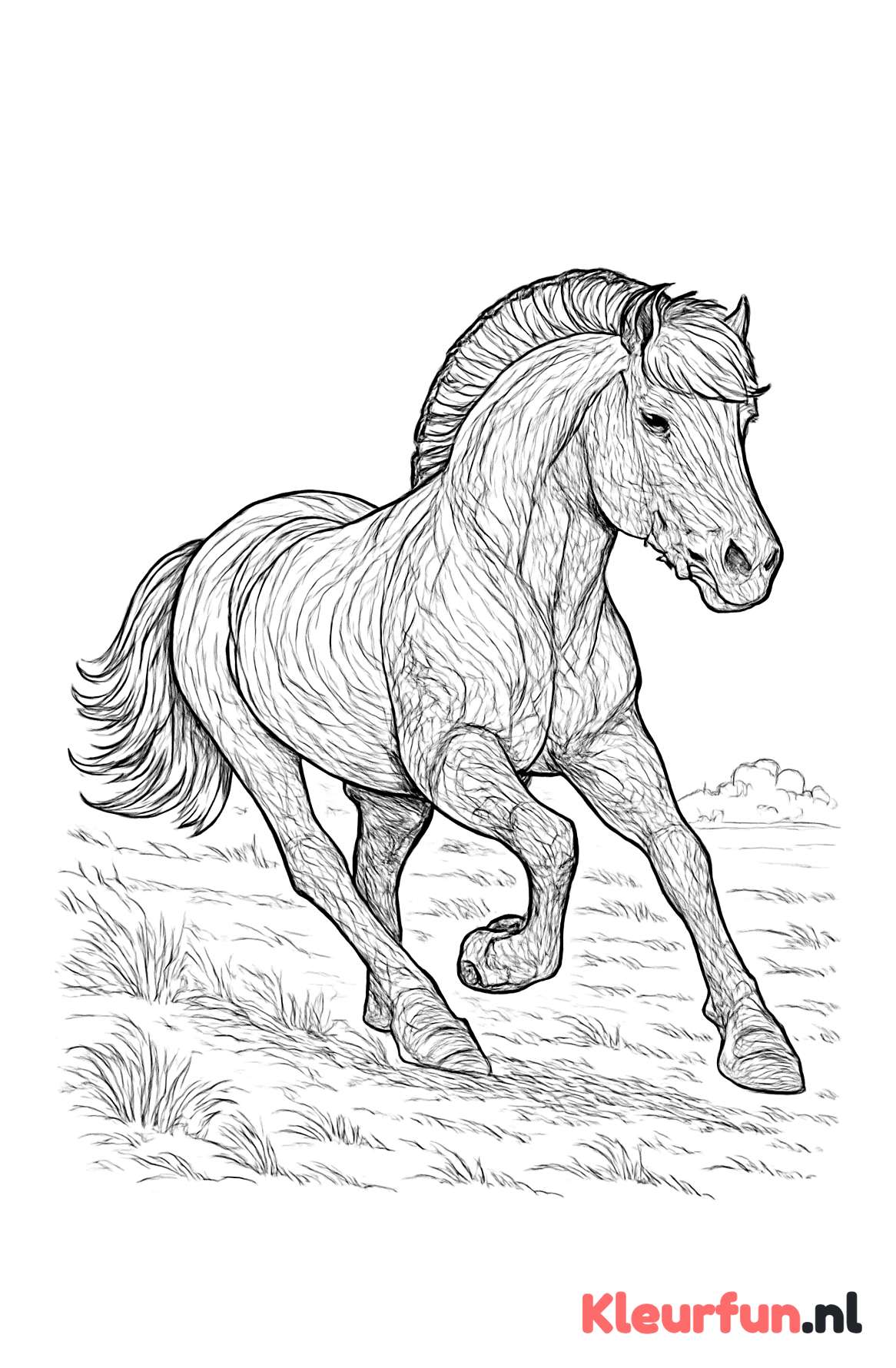 Fjord paard in galop