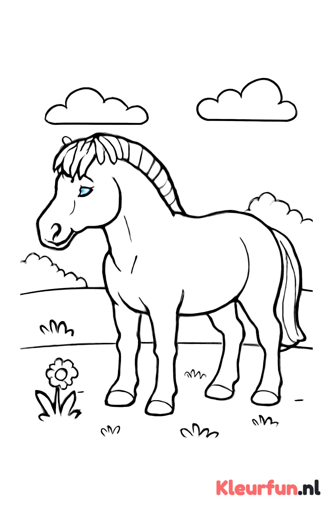 Fjord paard in de wei