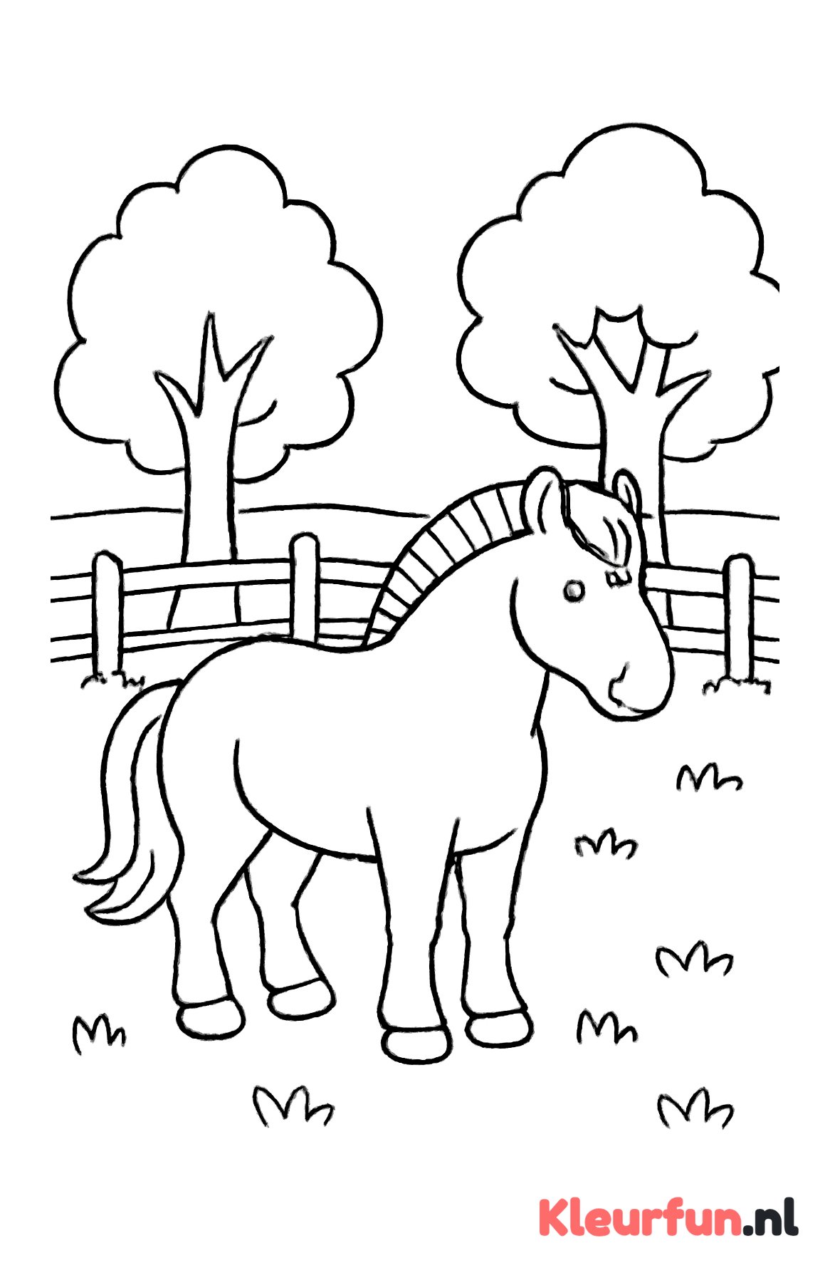 Fjord paard in de weide