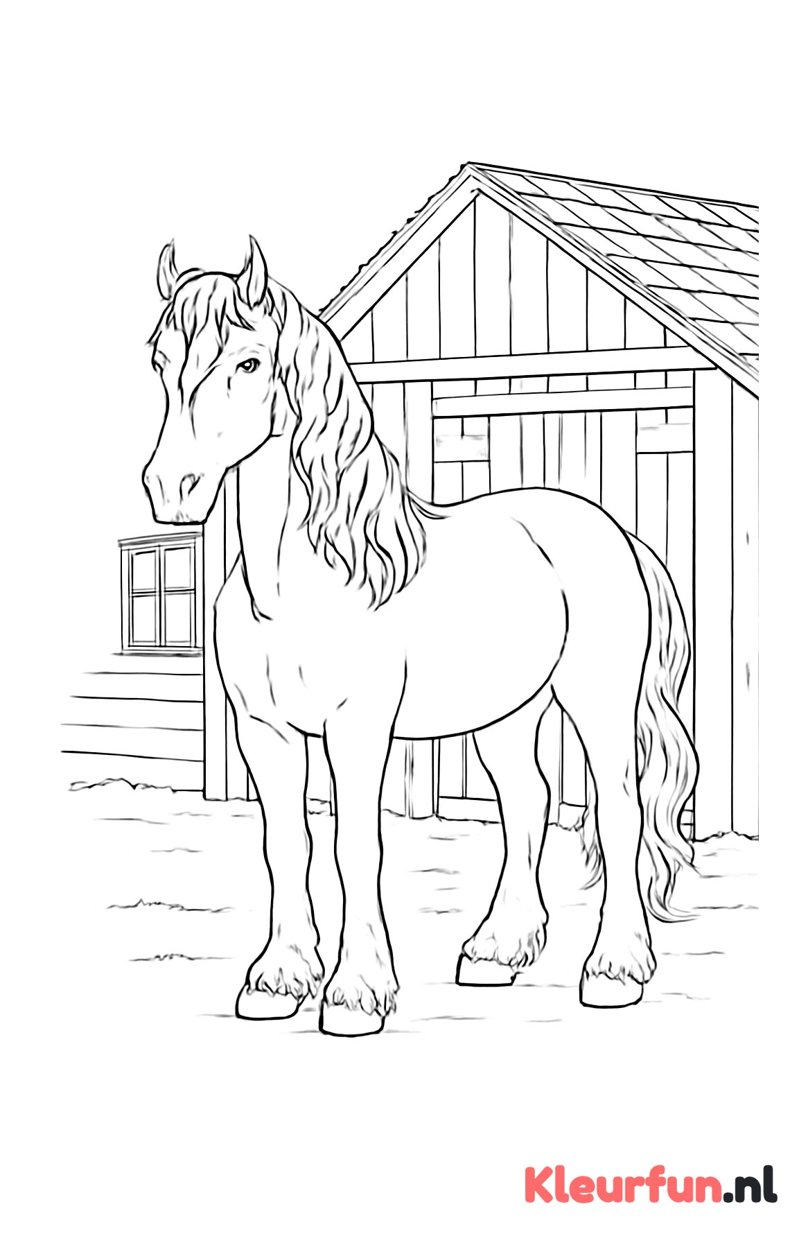 Fries paard met witte bles