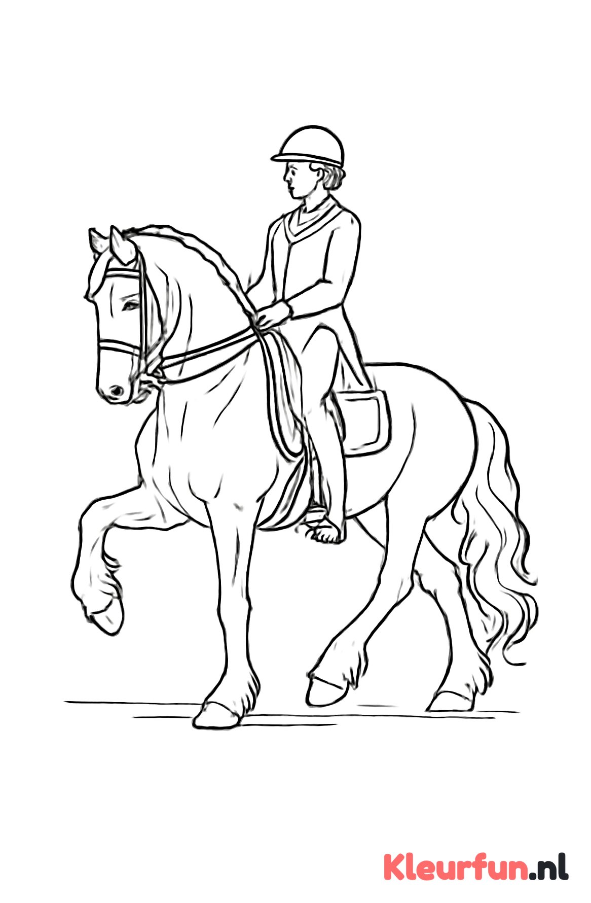Fries paard dressuur