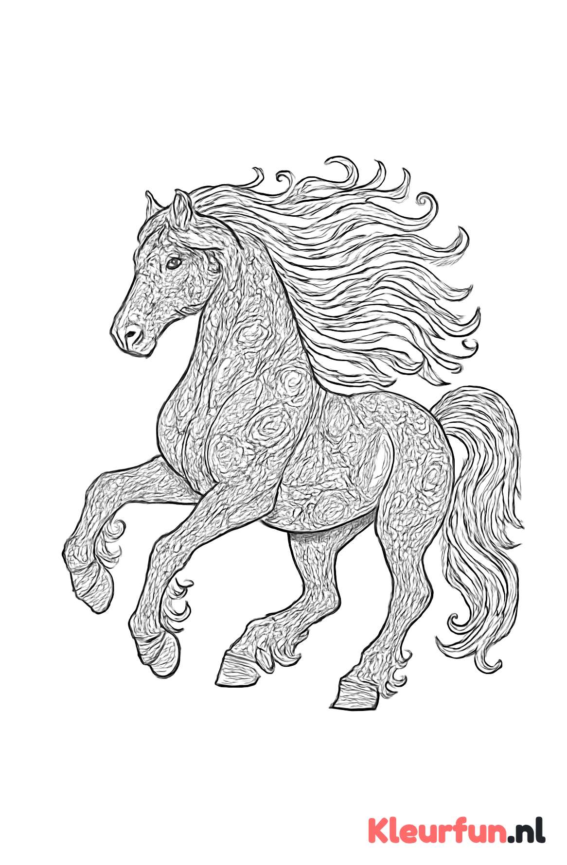 Fries paard in galop