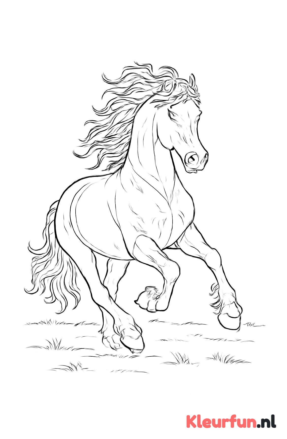 Fries paard in galop