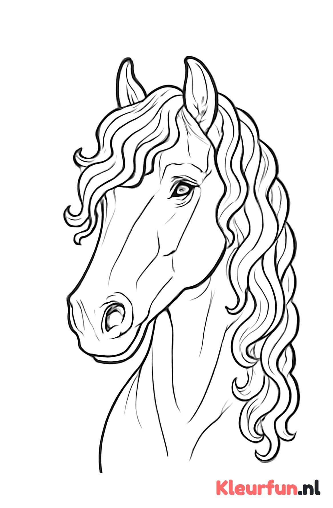 Close-up Fries paard hoofd