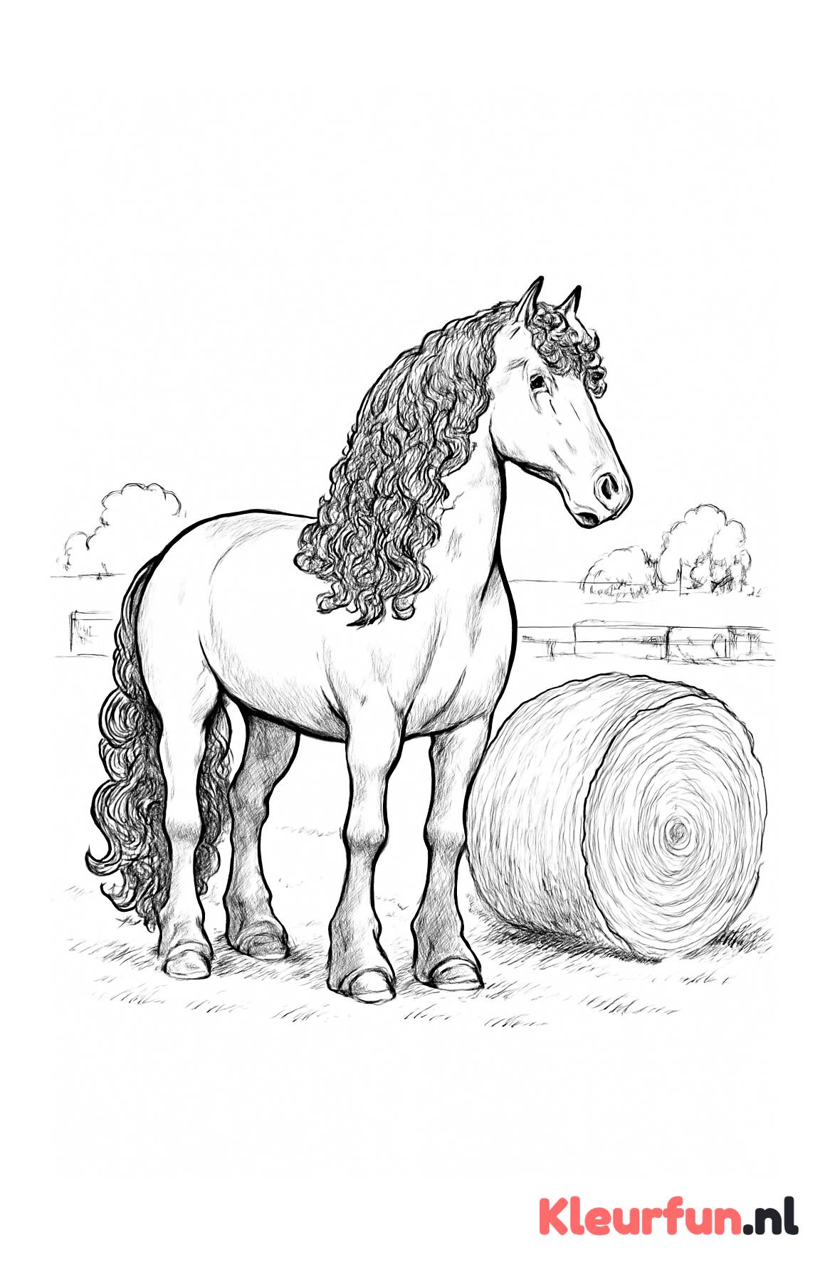 Fries paard bij hooibaal