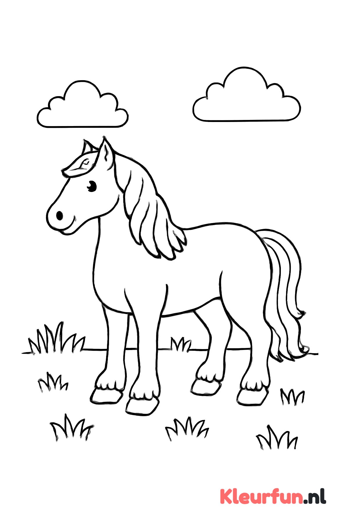 Fries paard in de wei
