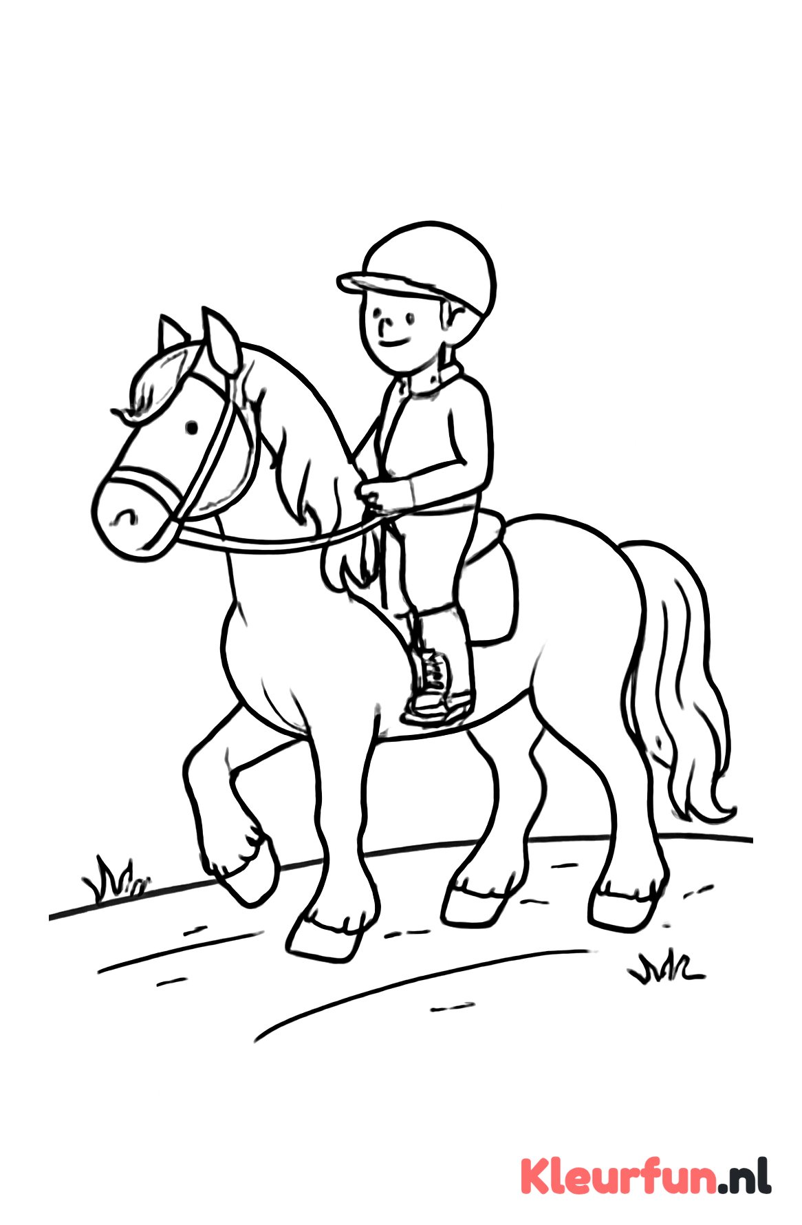 Fries paard met ruiter