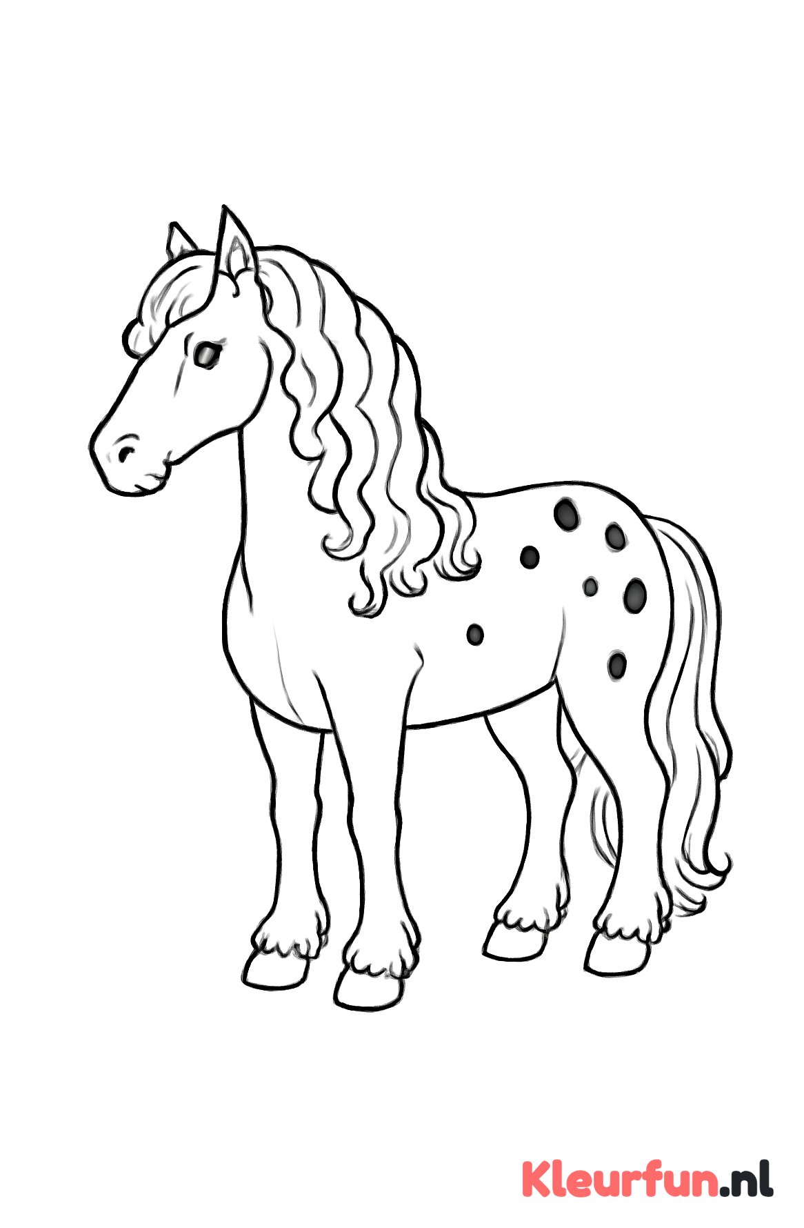 Fries paard in profiel