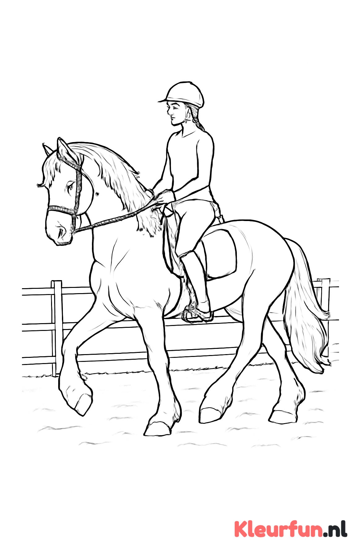 Fries paard trainen in de rijbak