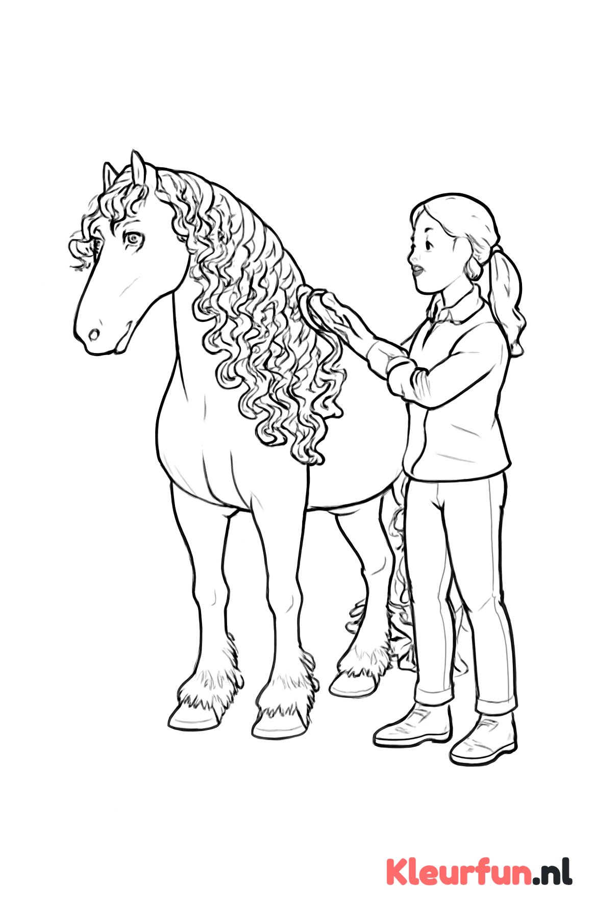 Fries paard verzorging