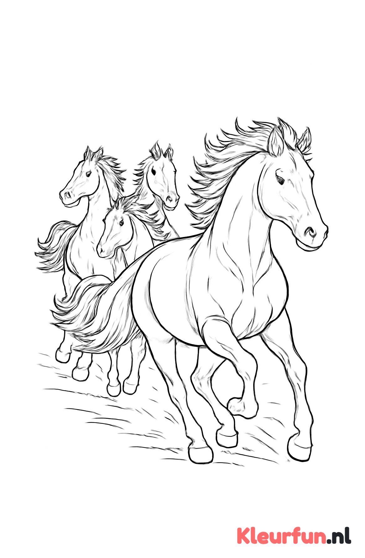 Galopperende paardenstoet