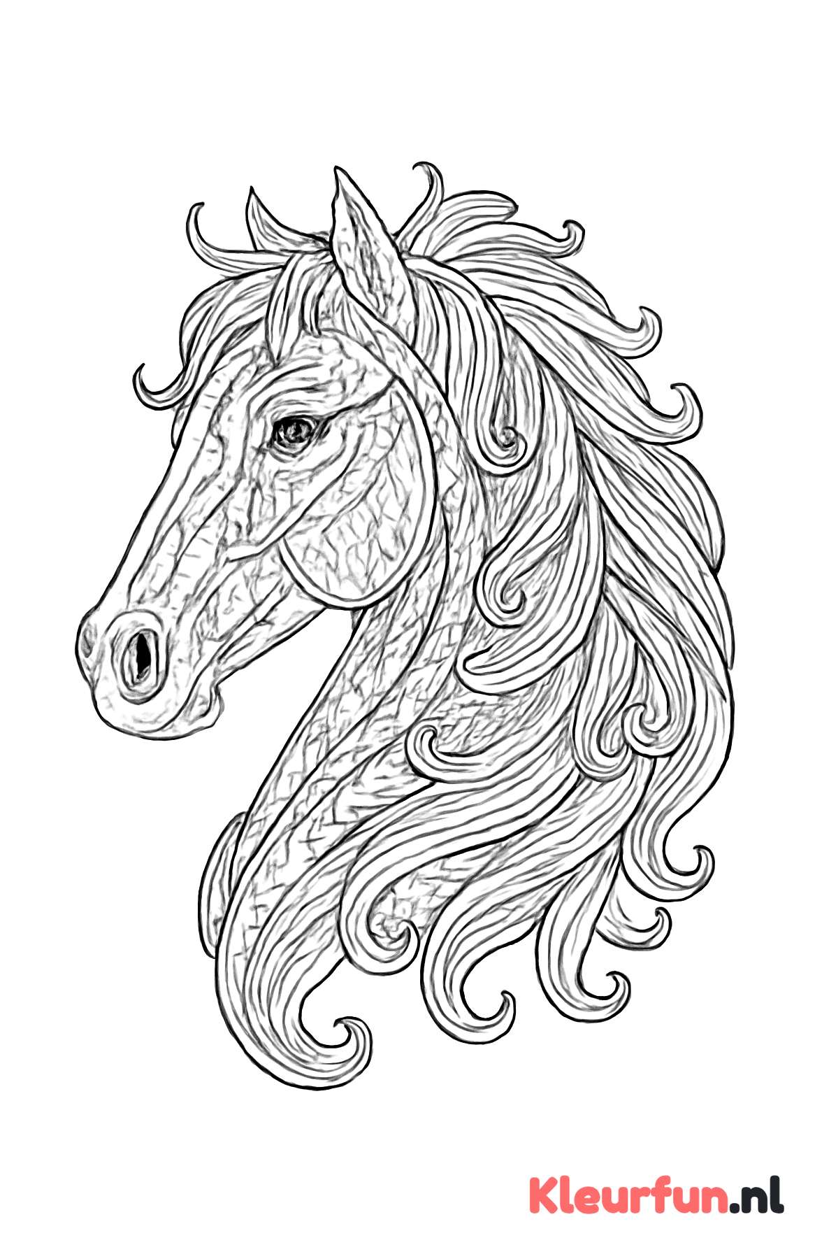 Gedetailleerd paardenhoofd met expressieve manen