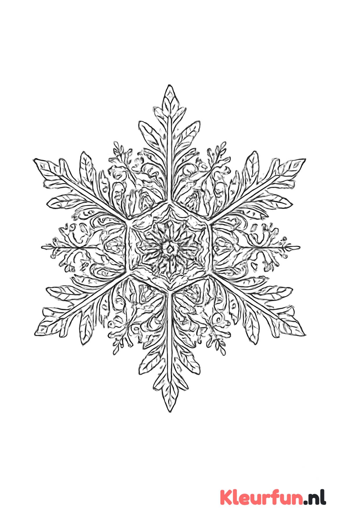 Gedetailleerde Sneeuwvlok
