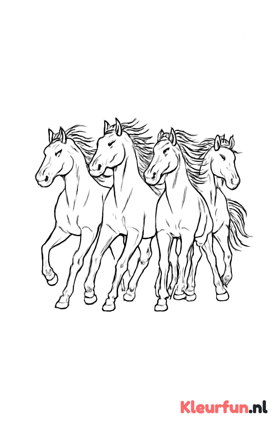 Groep paarden in beweging