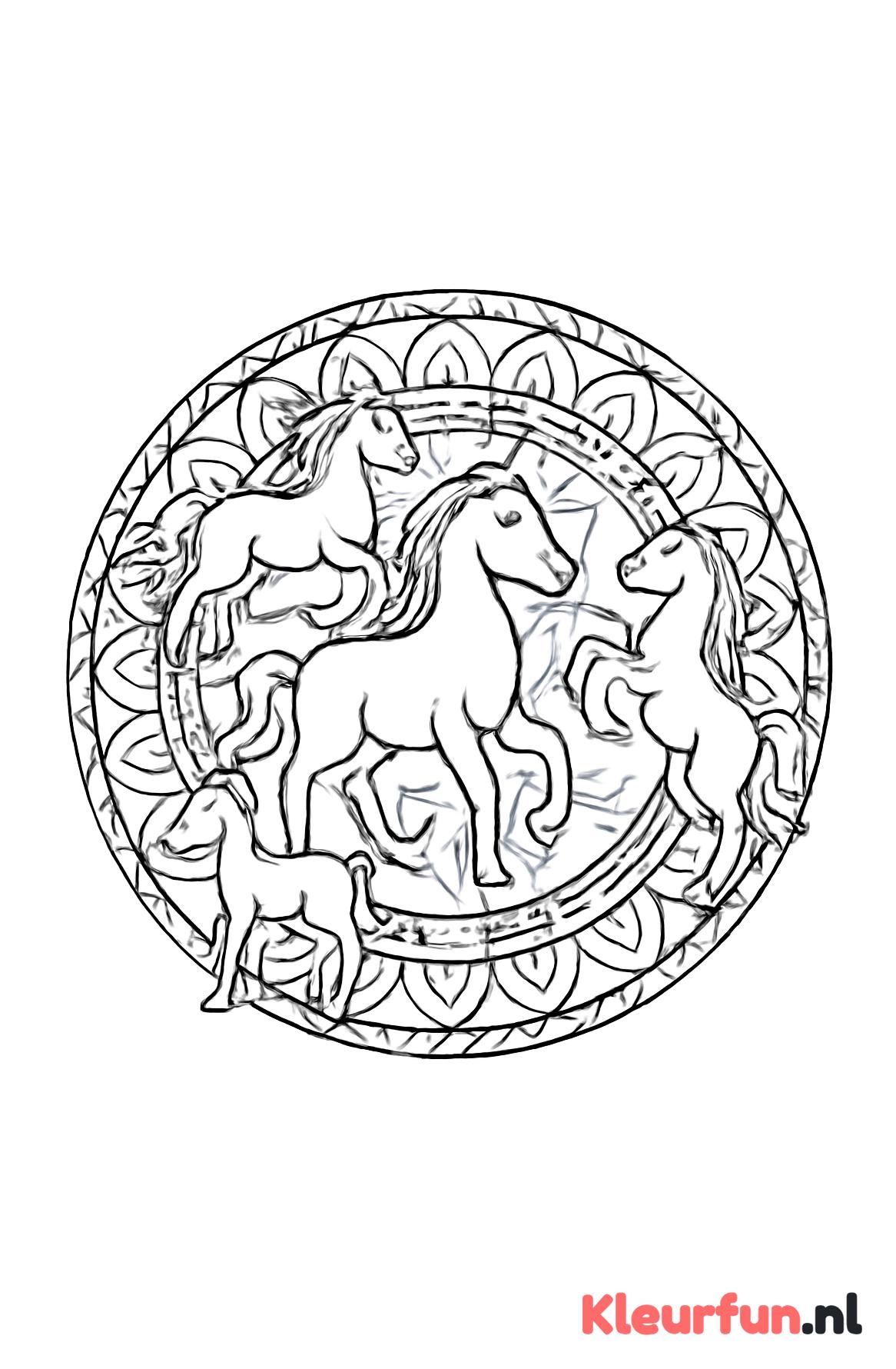 Groep Paarden in Mandala