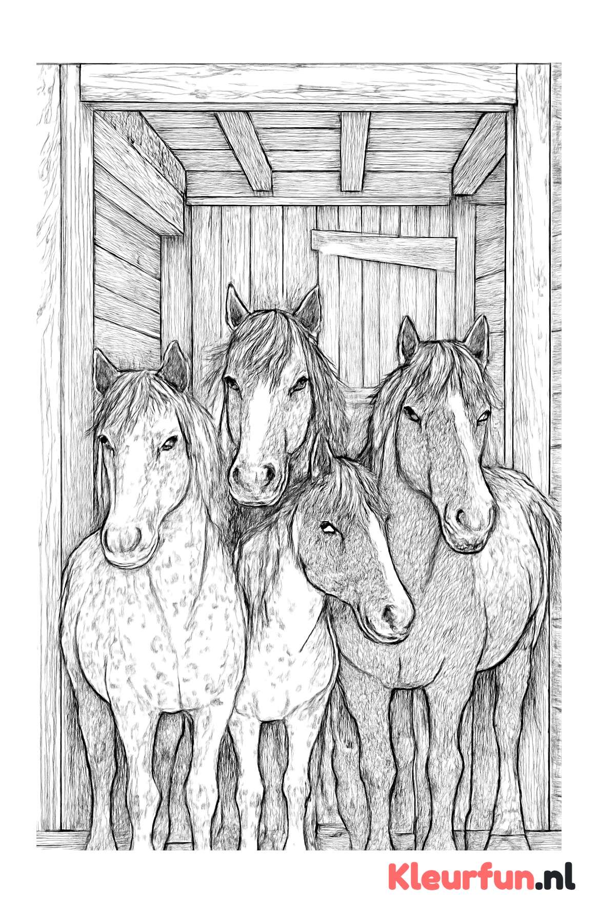 Groep pony's in stal