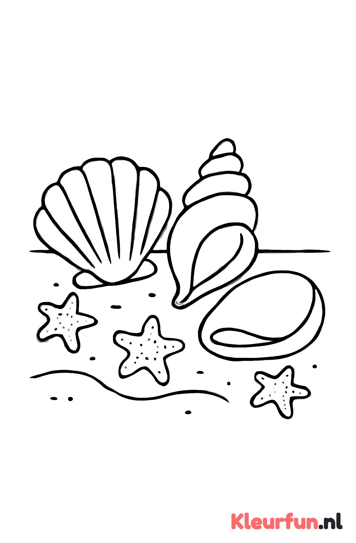 Grote schelpen en kleine zeesterren