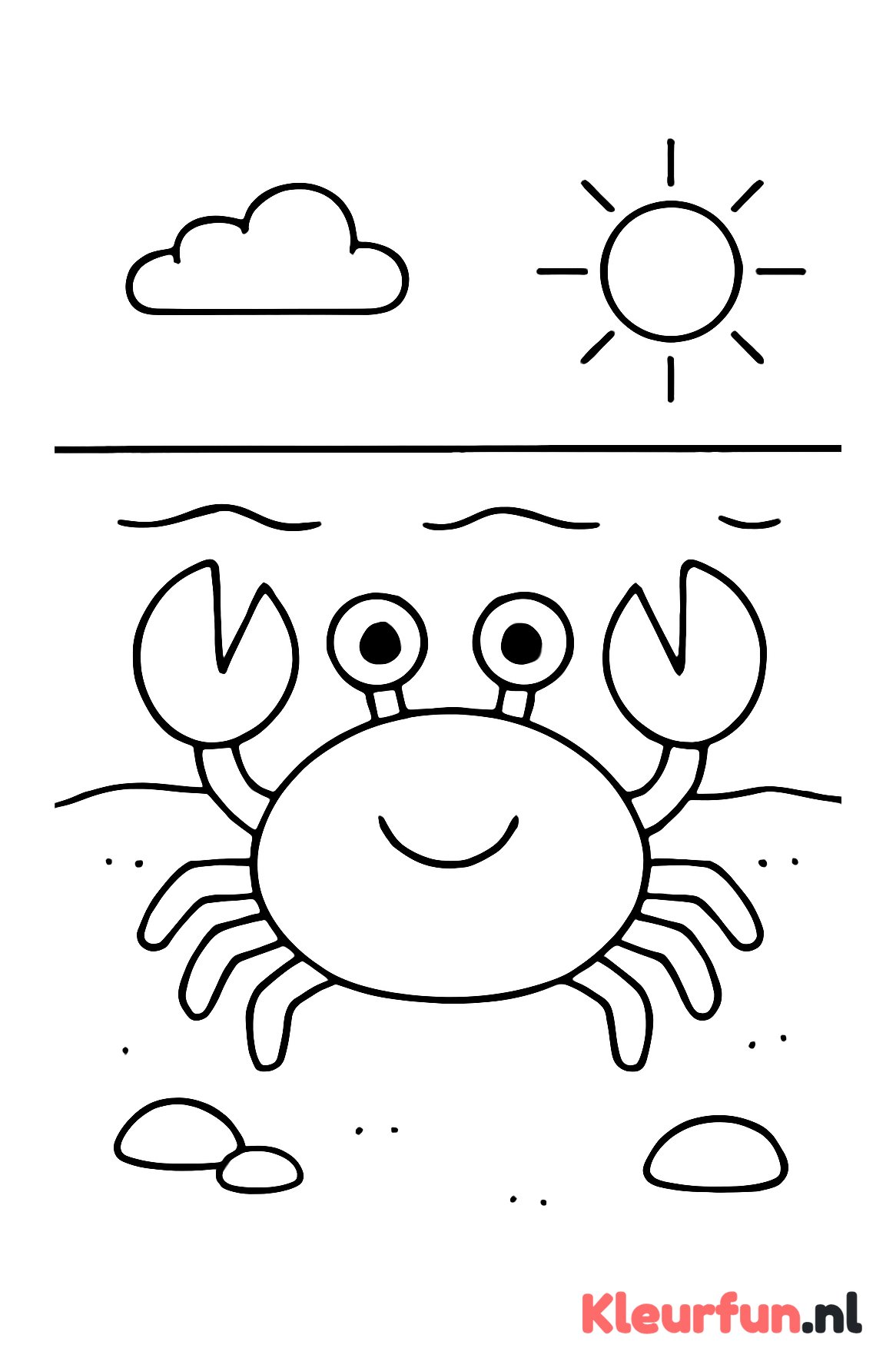 Grote simpele krab aan het strand