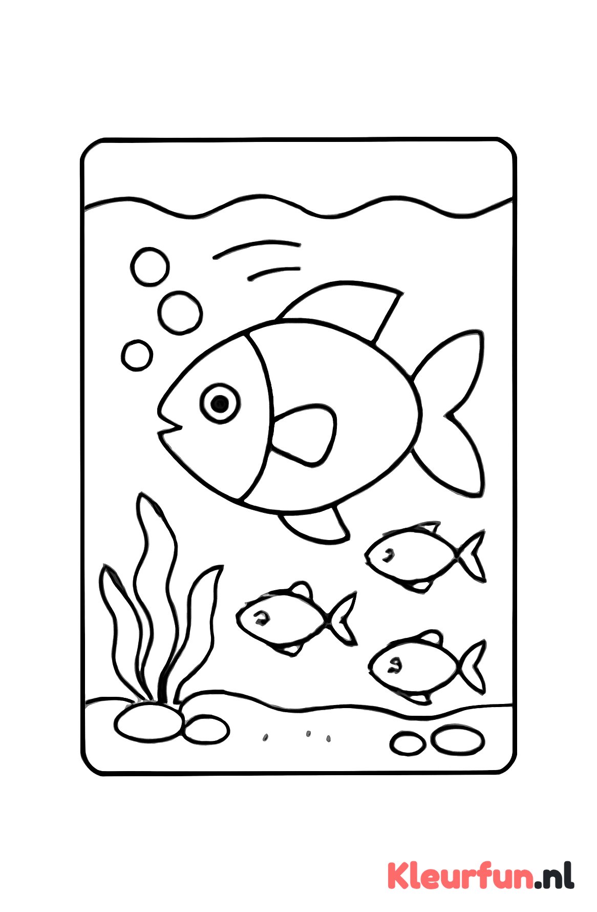 Grote vis en aquarium