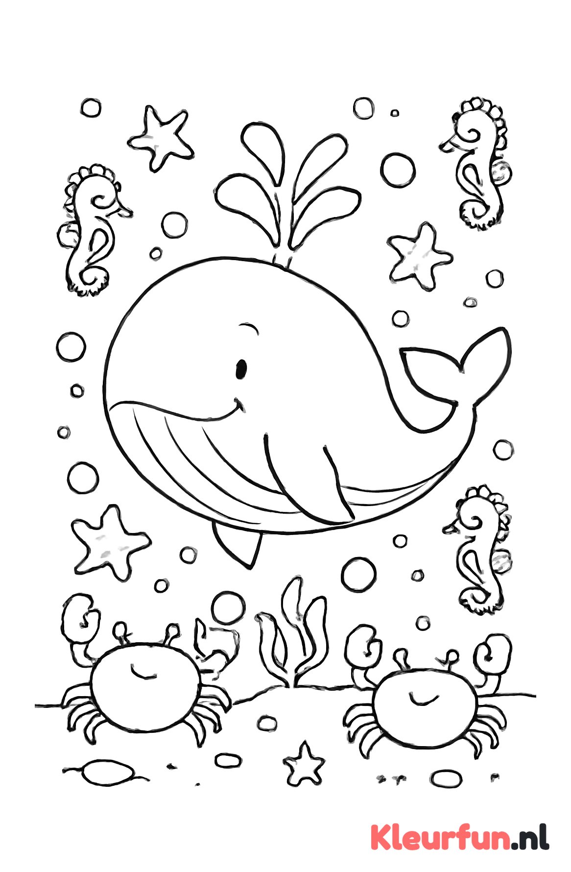 Grote walvis en vrienden