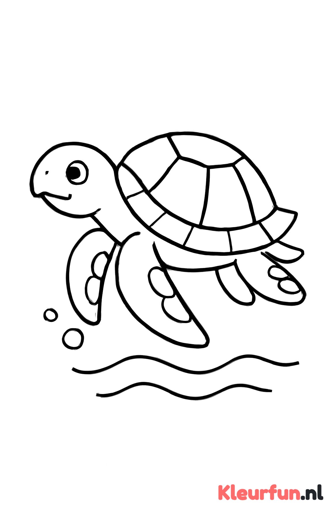 Grote zee schildpad