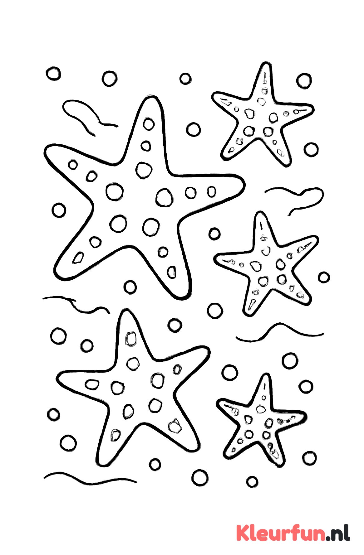 Grote zeesterren