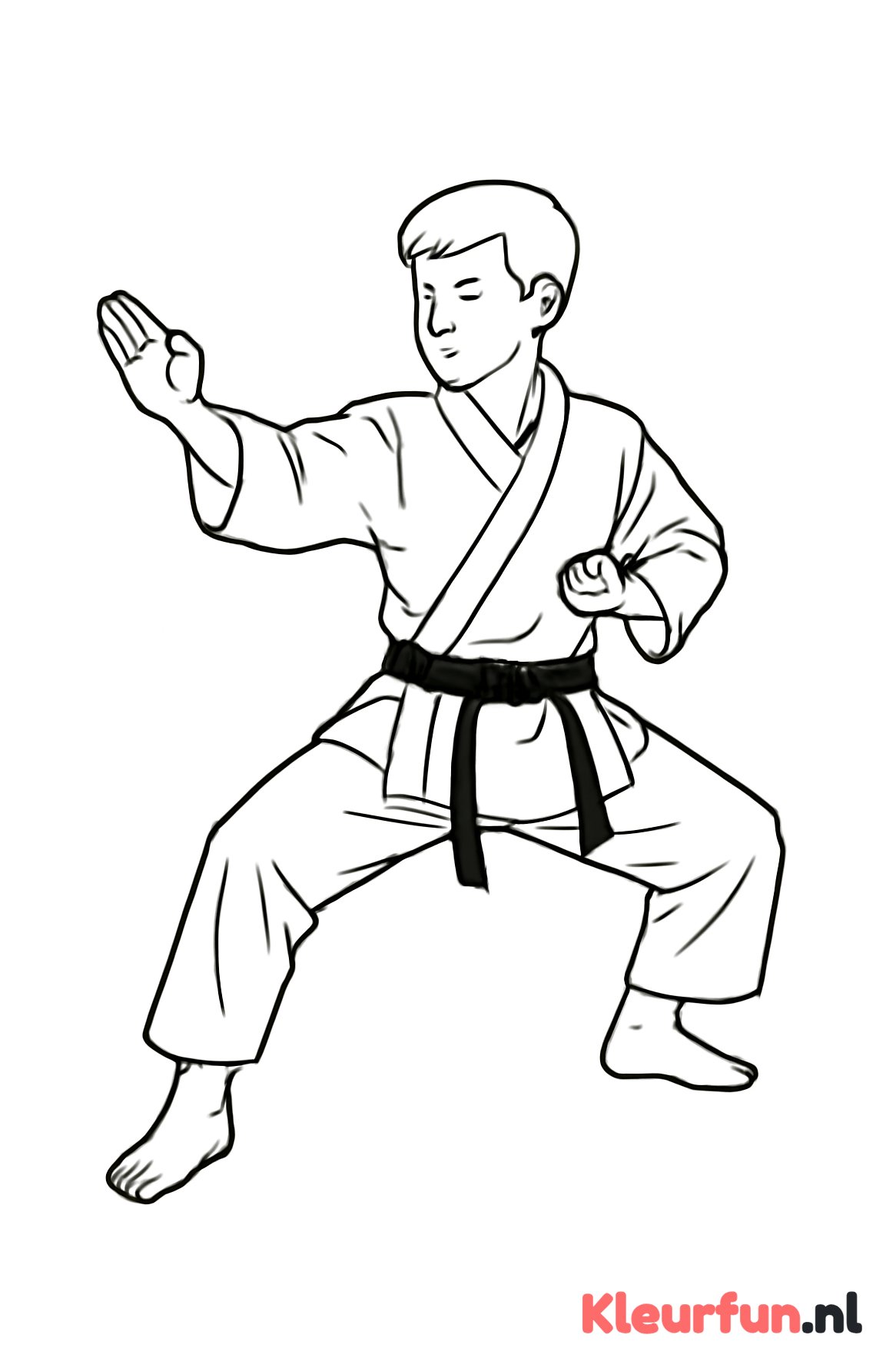 Karateka Kata Pose