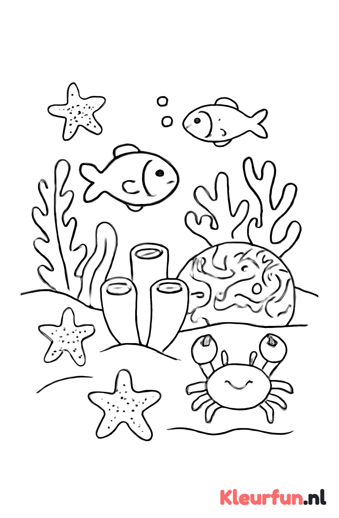 Koraalrif met zeedieren