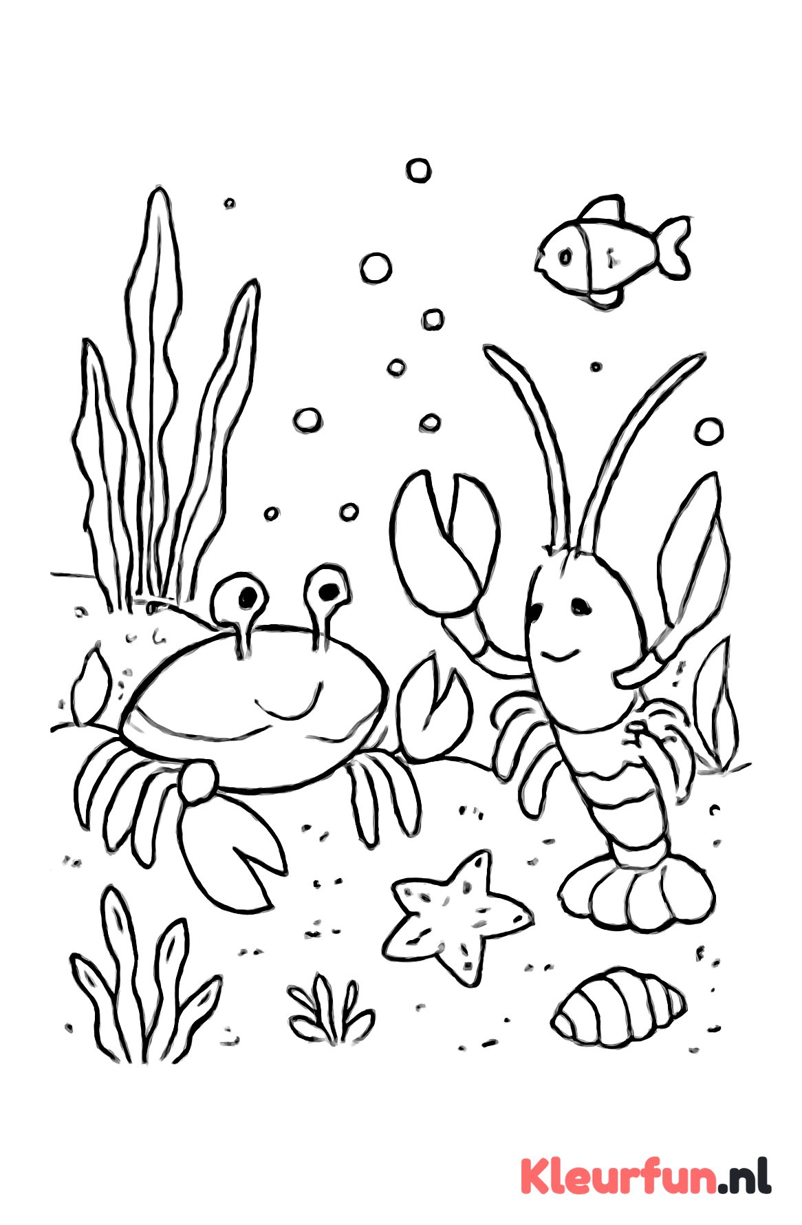 Krab en kreeft op zandplaat