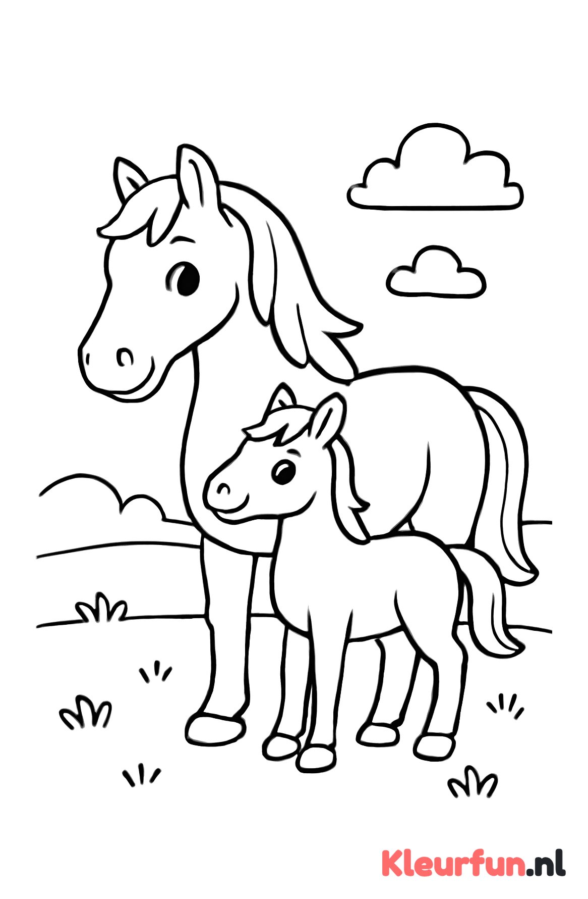 Mama paard met veulen
