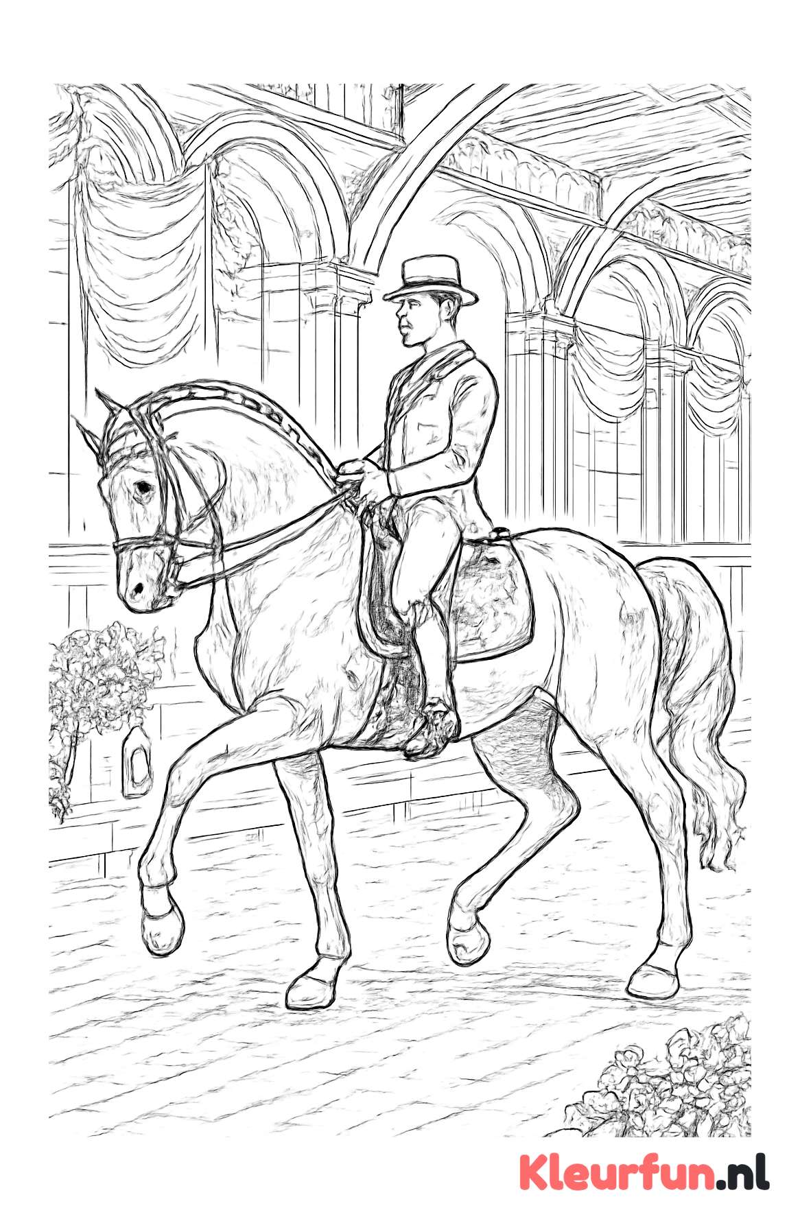 Dressuurwedstrijd in de Manege
