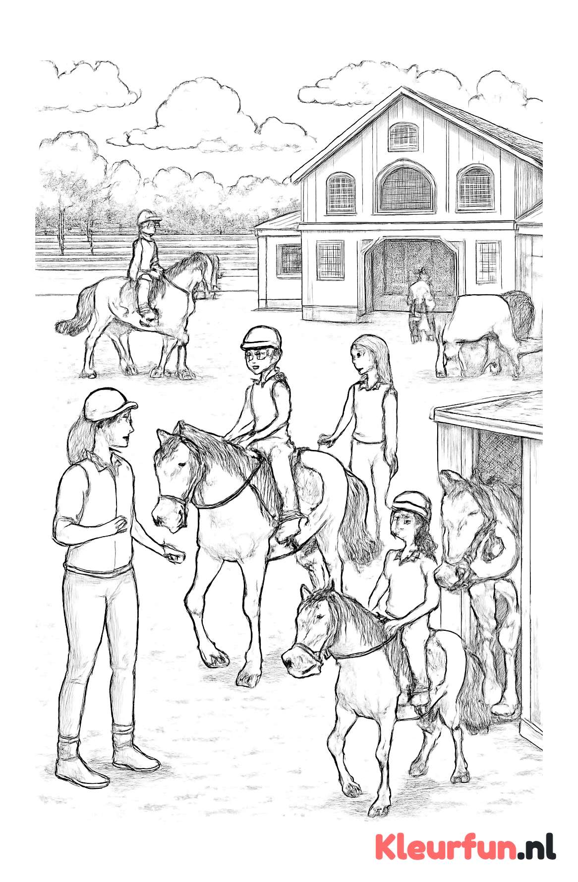 Paarden verzorgen in de Manege