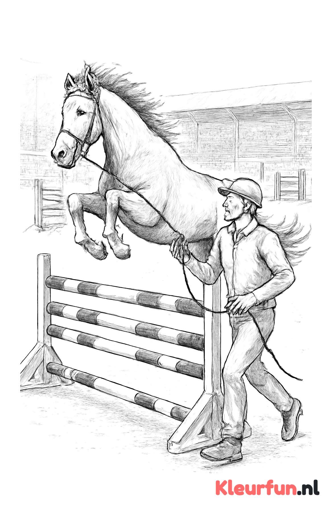 Springtraining in de Manege