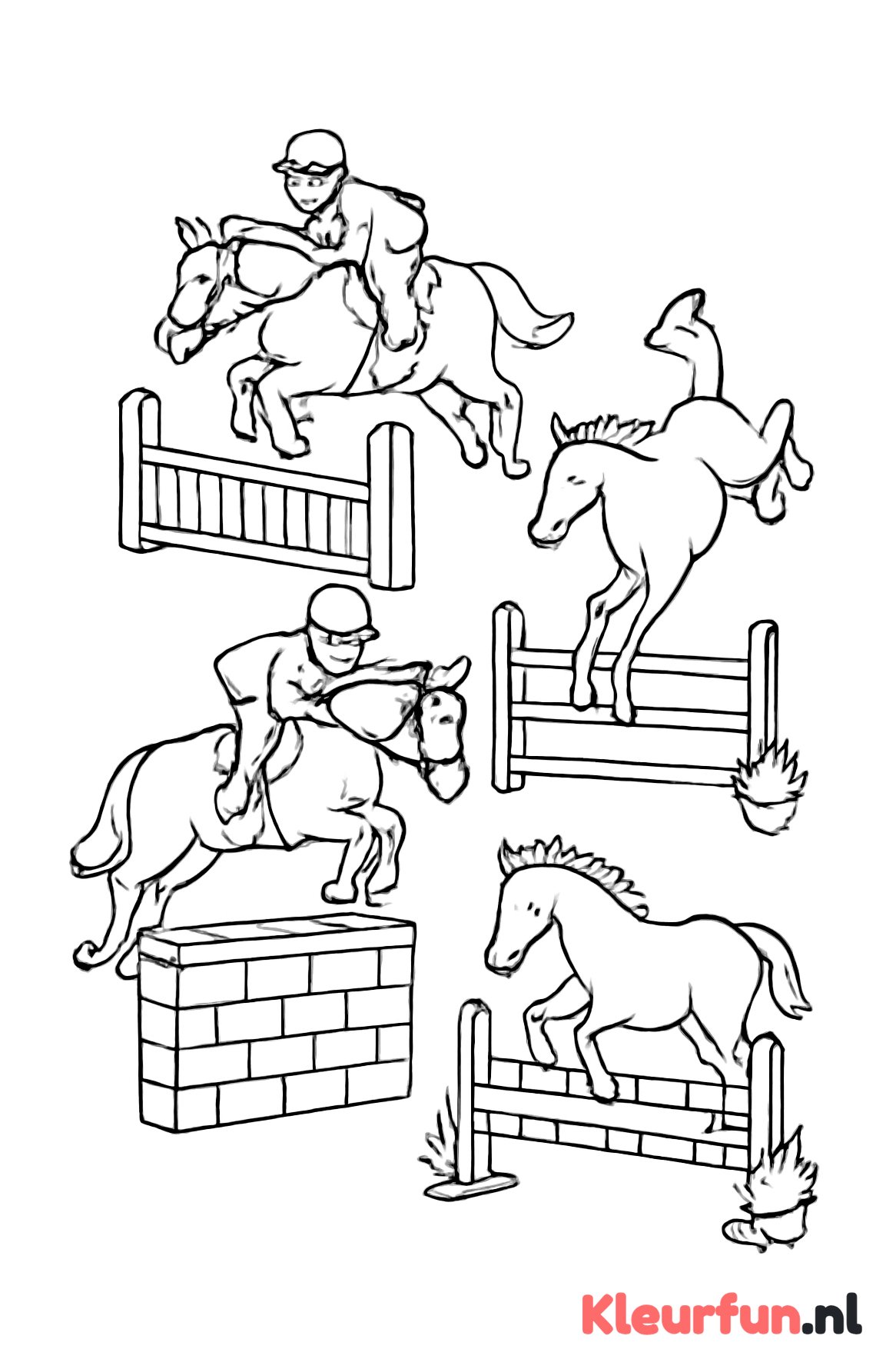 Springpaardenwedstrijd met meerdere paarden