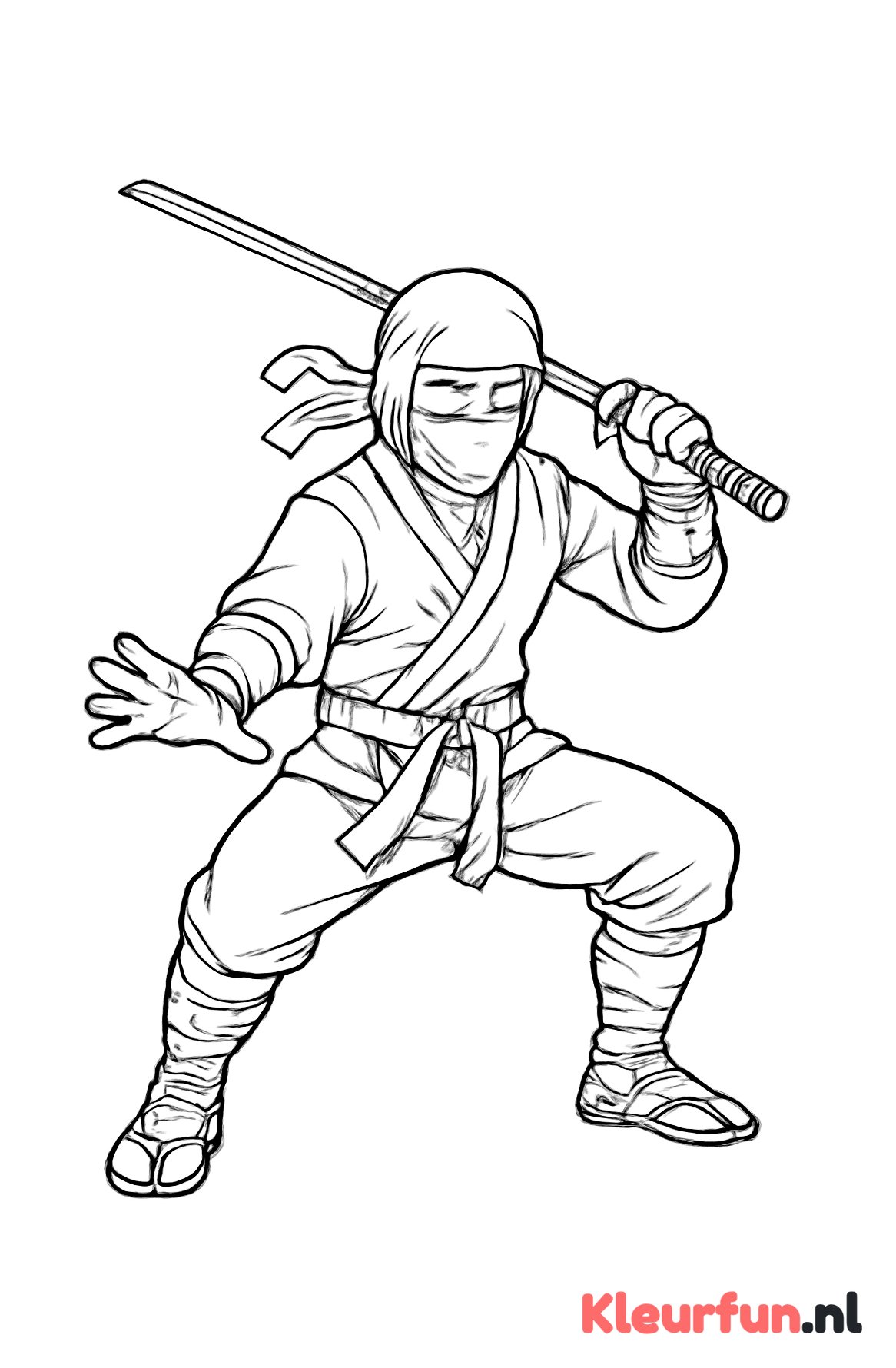 Ninja in Actie