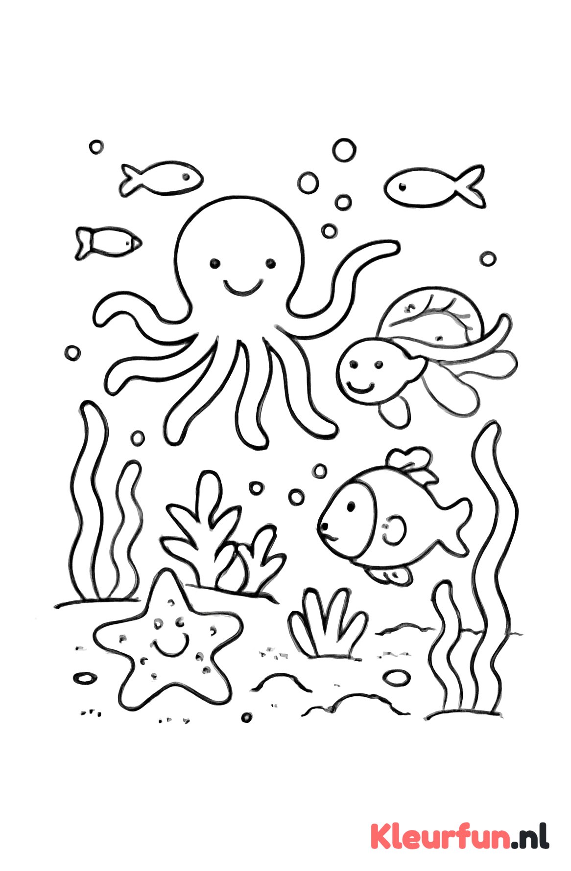 Octopus, zeester en schildpad onderwater