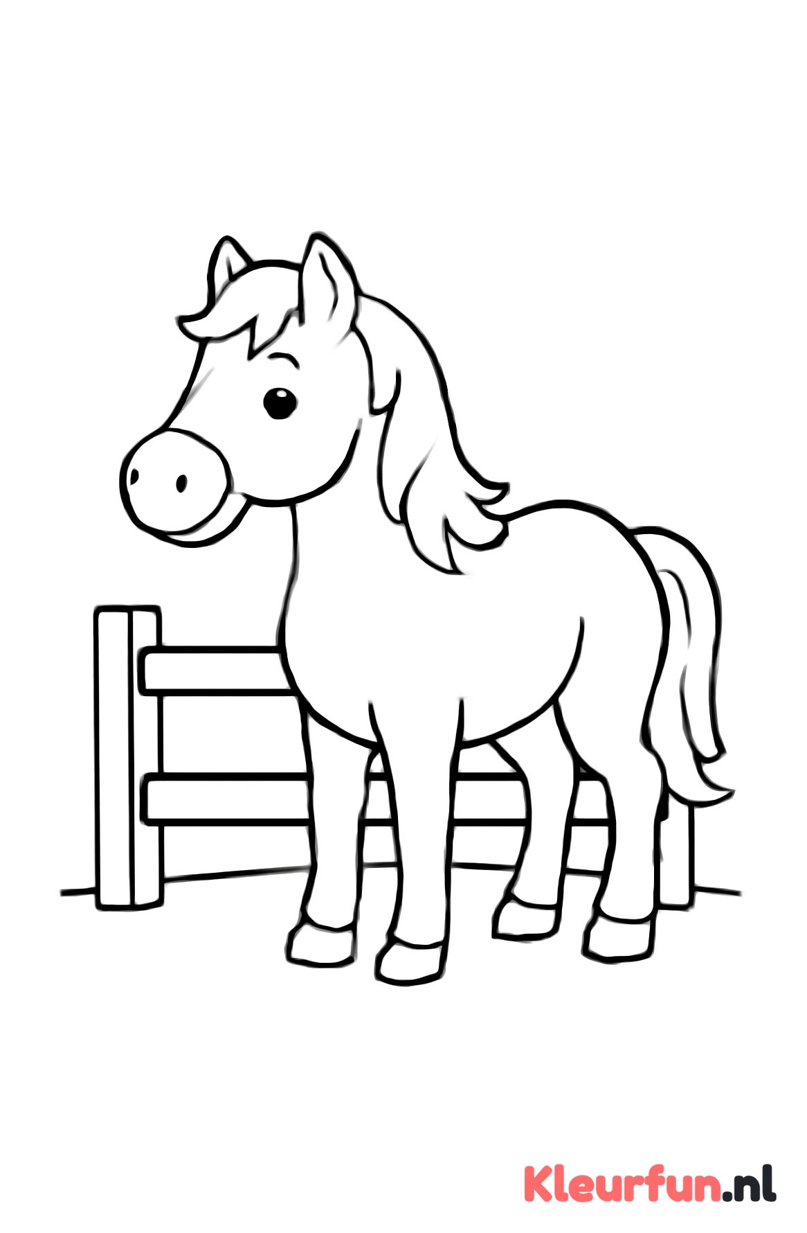 Paard aan hek
