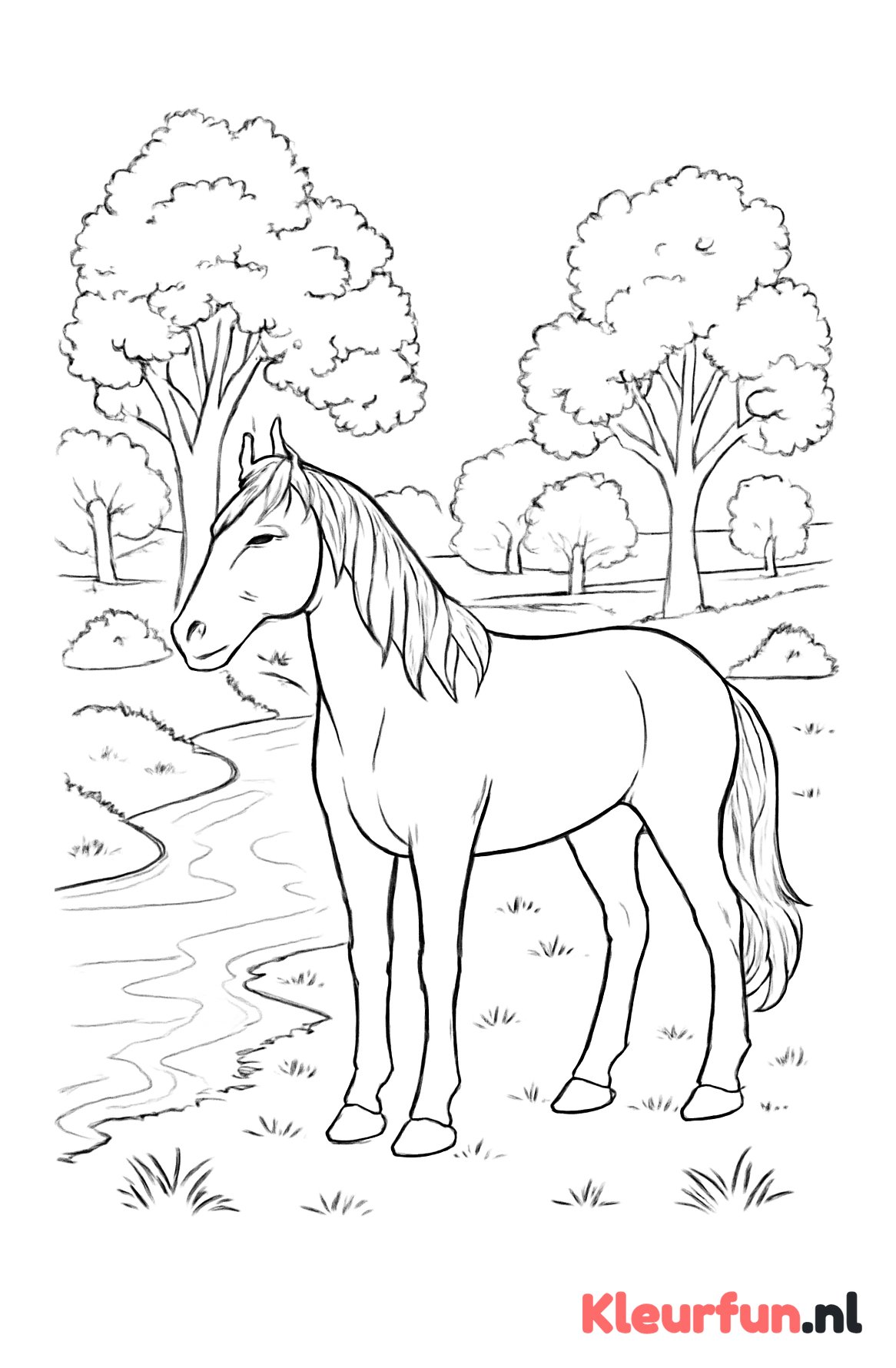 Paard bij beekje