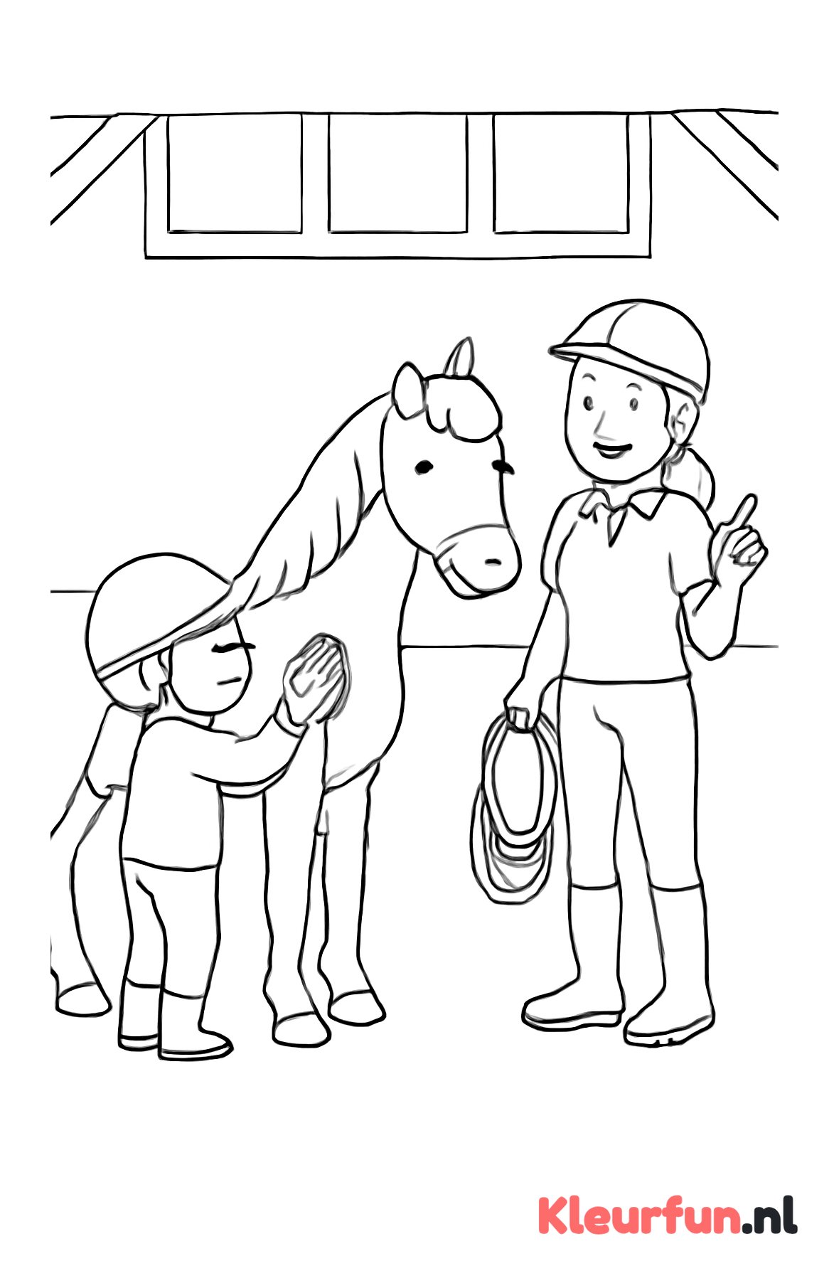 Paard borstelen op de manege
