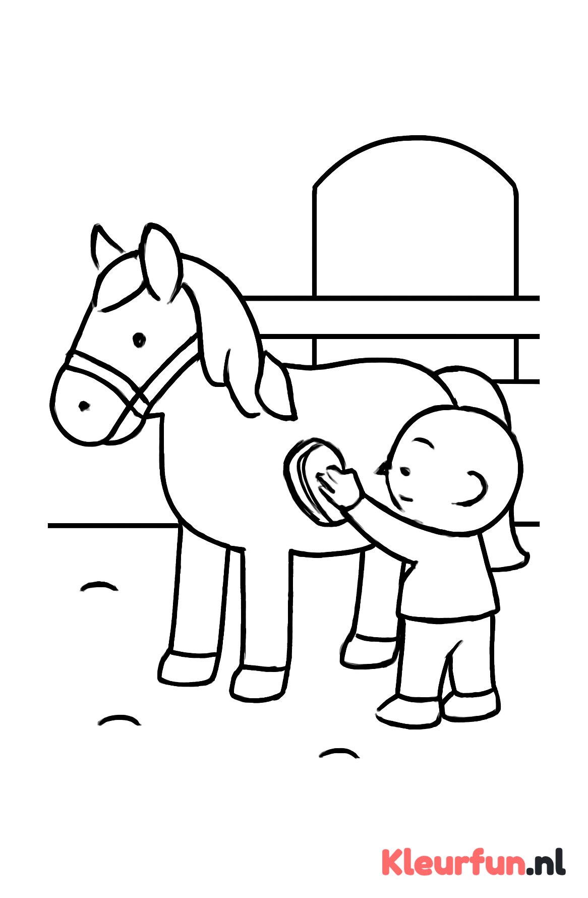 Paard borstelen in de manege