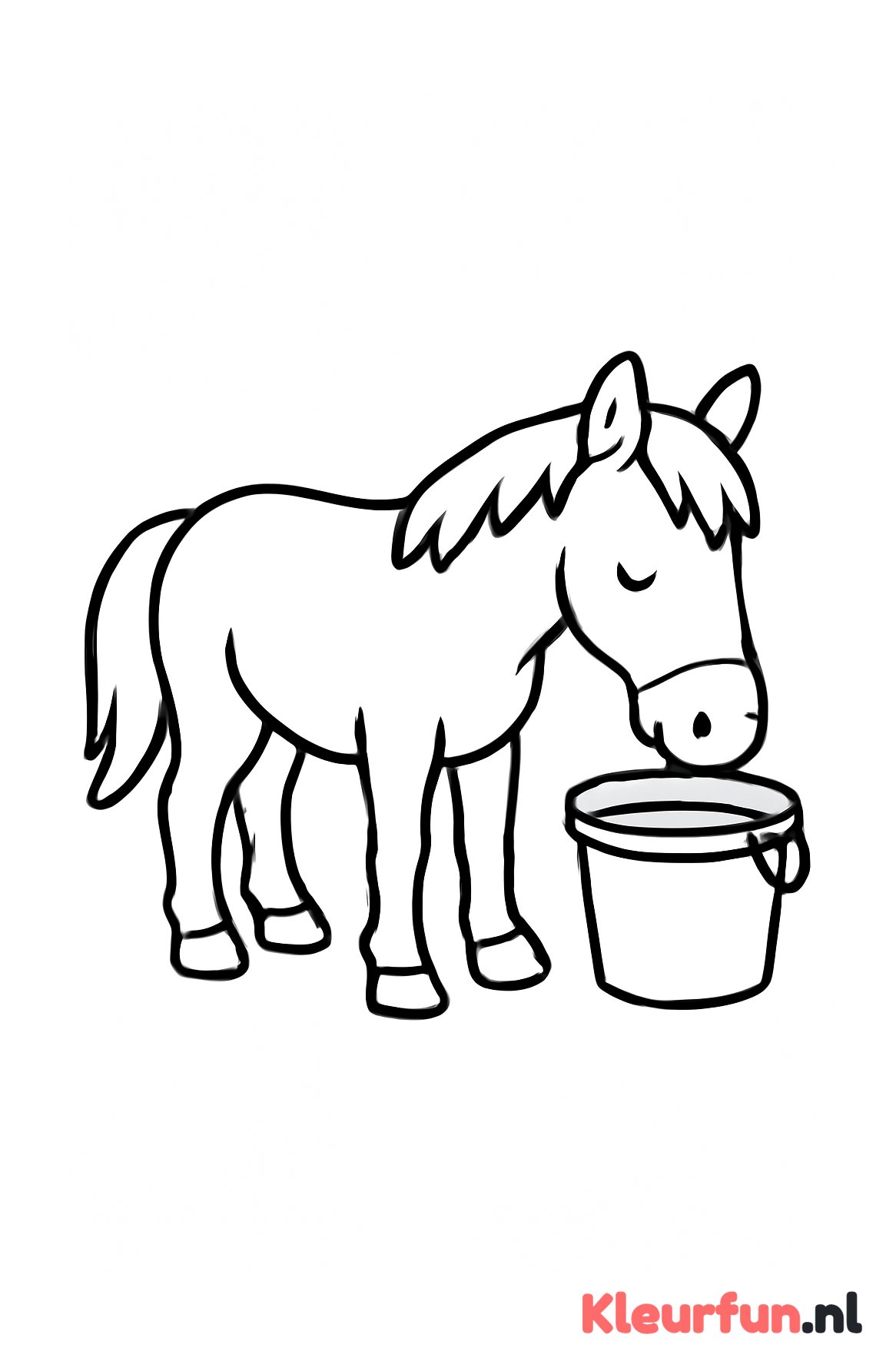 Paard drinken