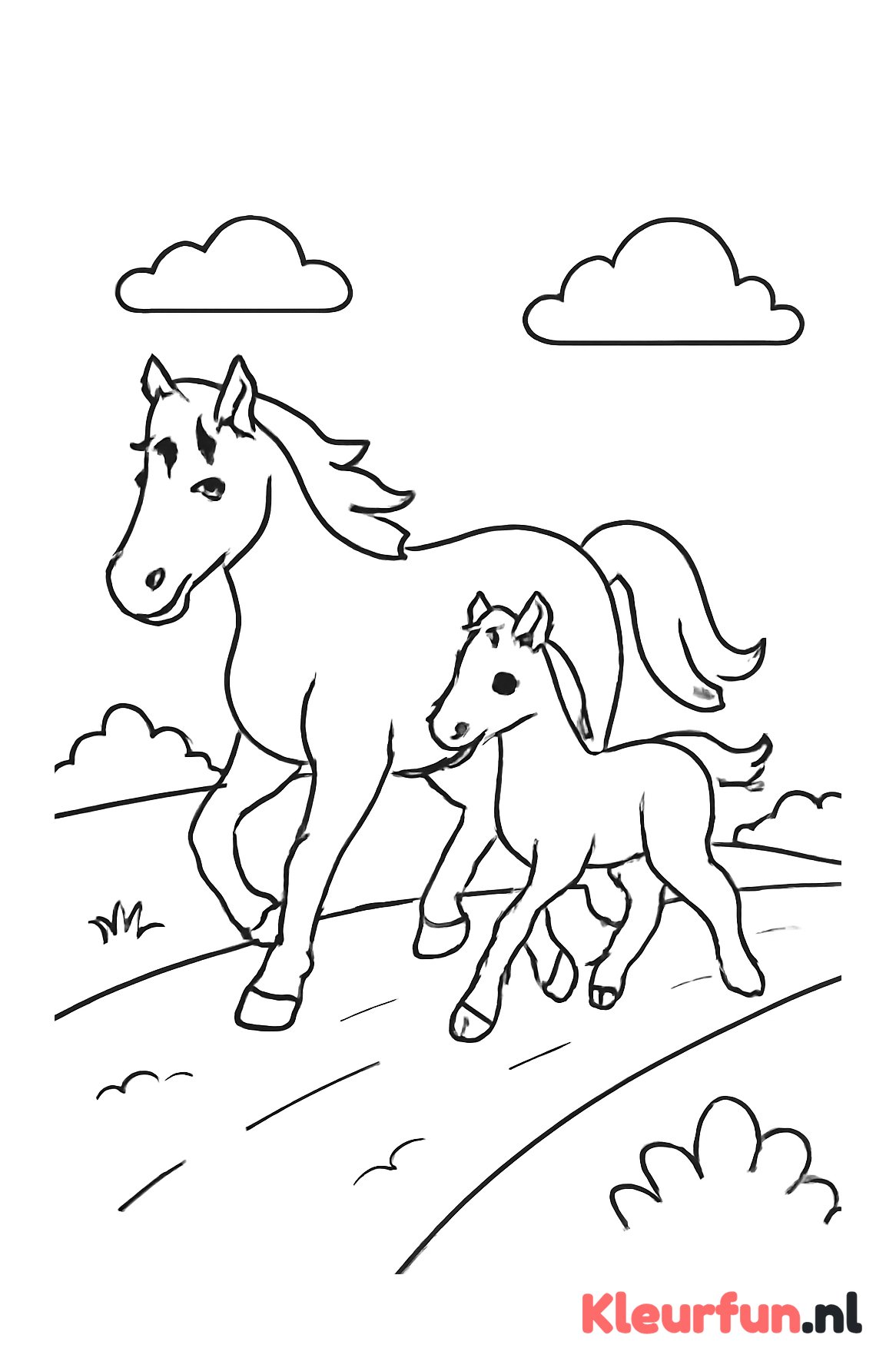 Paard en veulen draven samen